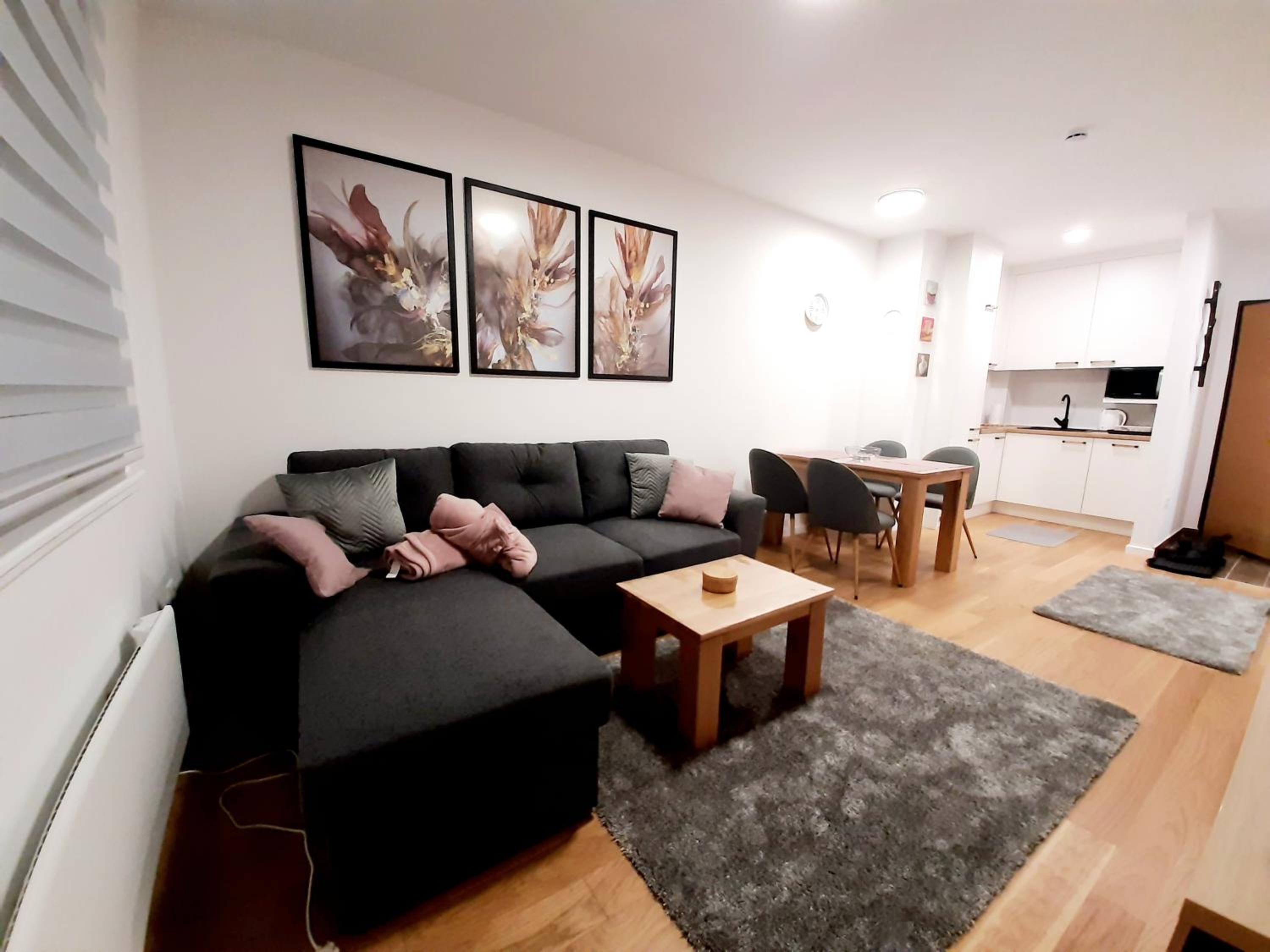 Apartman Winter magic Snježna dolina