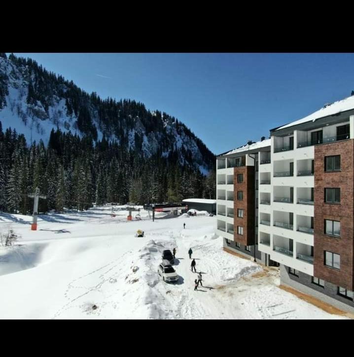 Apartman Winter night Snježna dolina