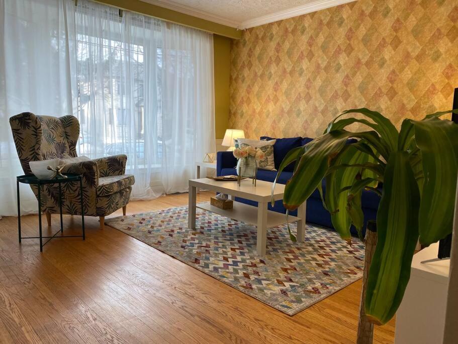 Cosy 5 Bedrooms House in Hearth of Richmond Hill
