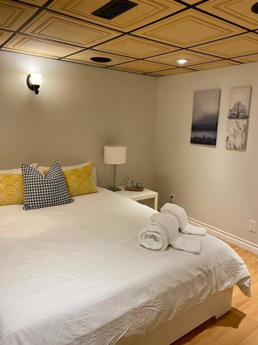 Cosy 5 Bedrooms House in Hearth of Richmond Hill
