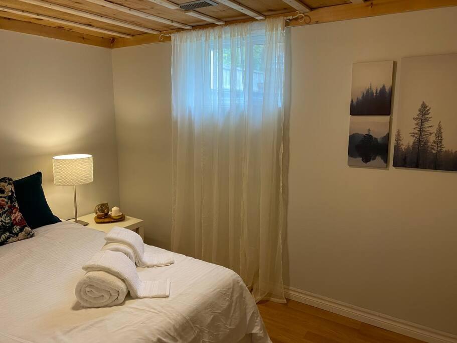 Cosy 5 Bedrooms House in Hearth of Richmond Hill