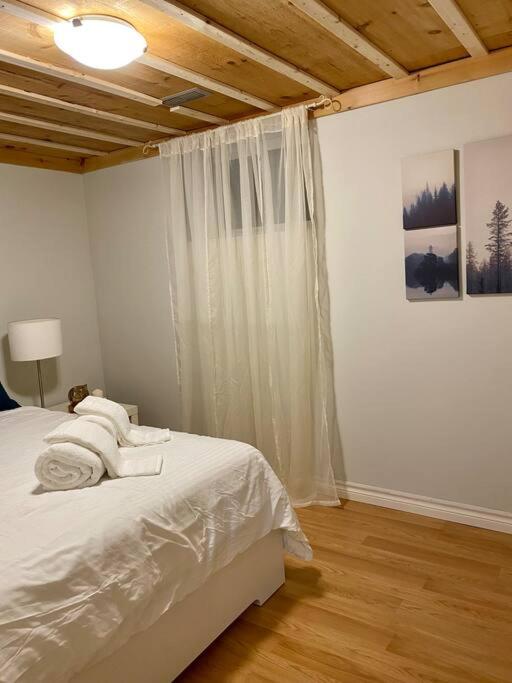 Cosy 5 Bedrooms House in Hearth of Richmond Hill