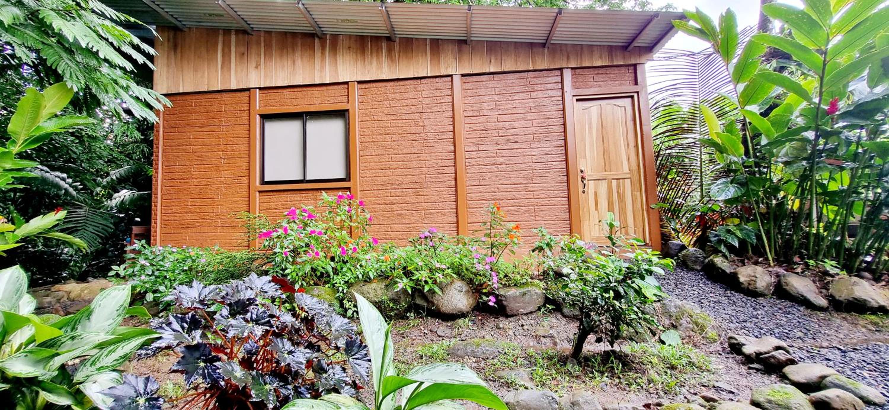 The frog house view 3