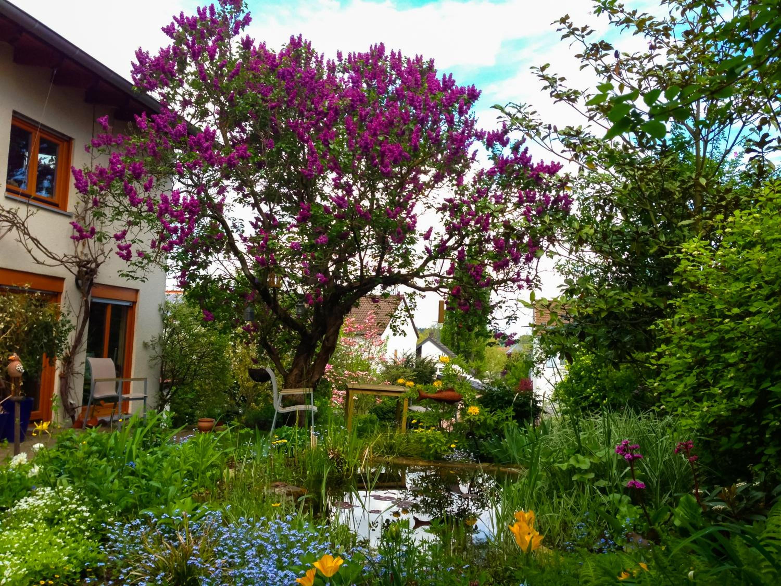 Herzensort - Schönes Haus mit Terrasse und Gartenblick