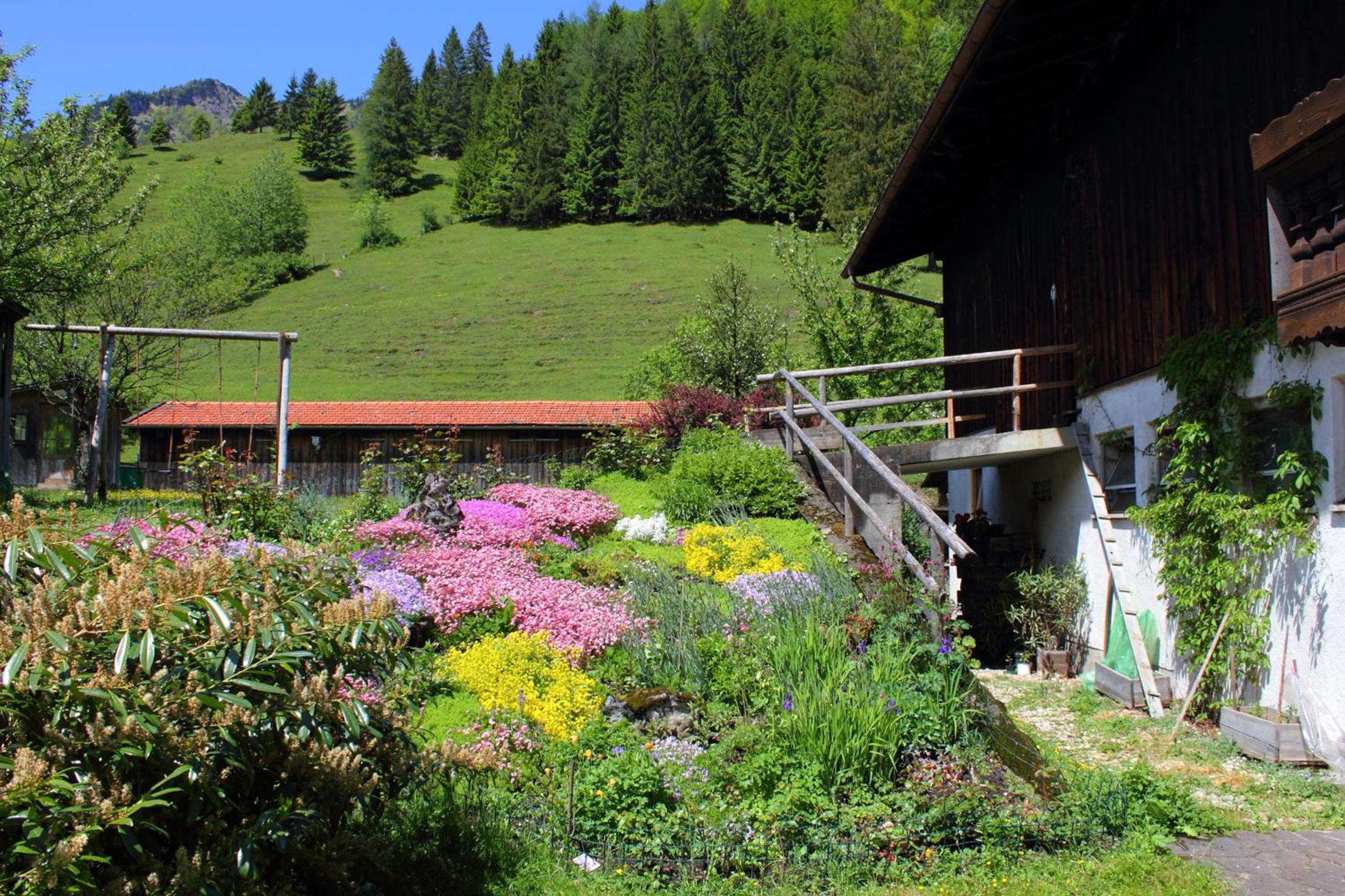Bauernhof Hamberger Hof view 3