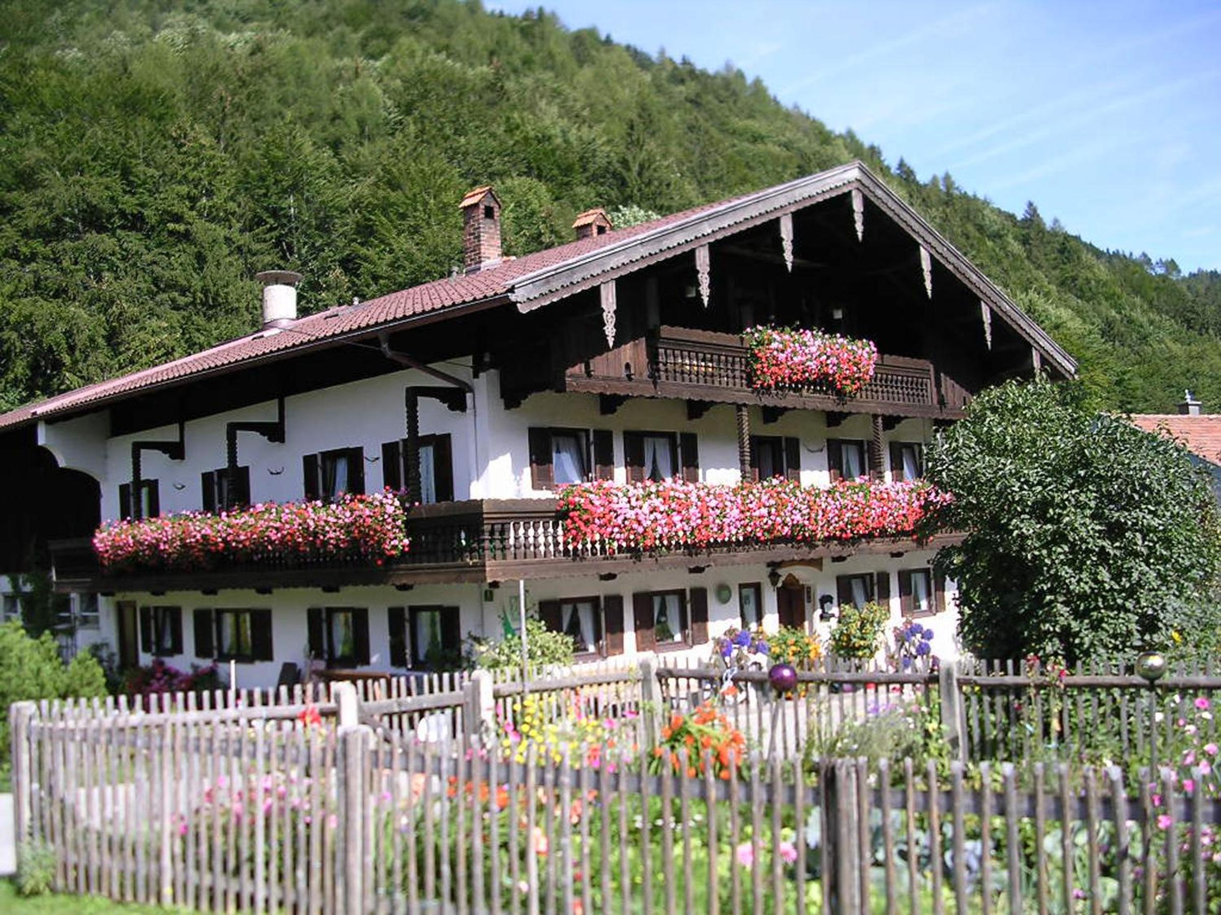Bauernhof Hamberger Hof view 4