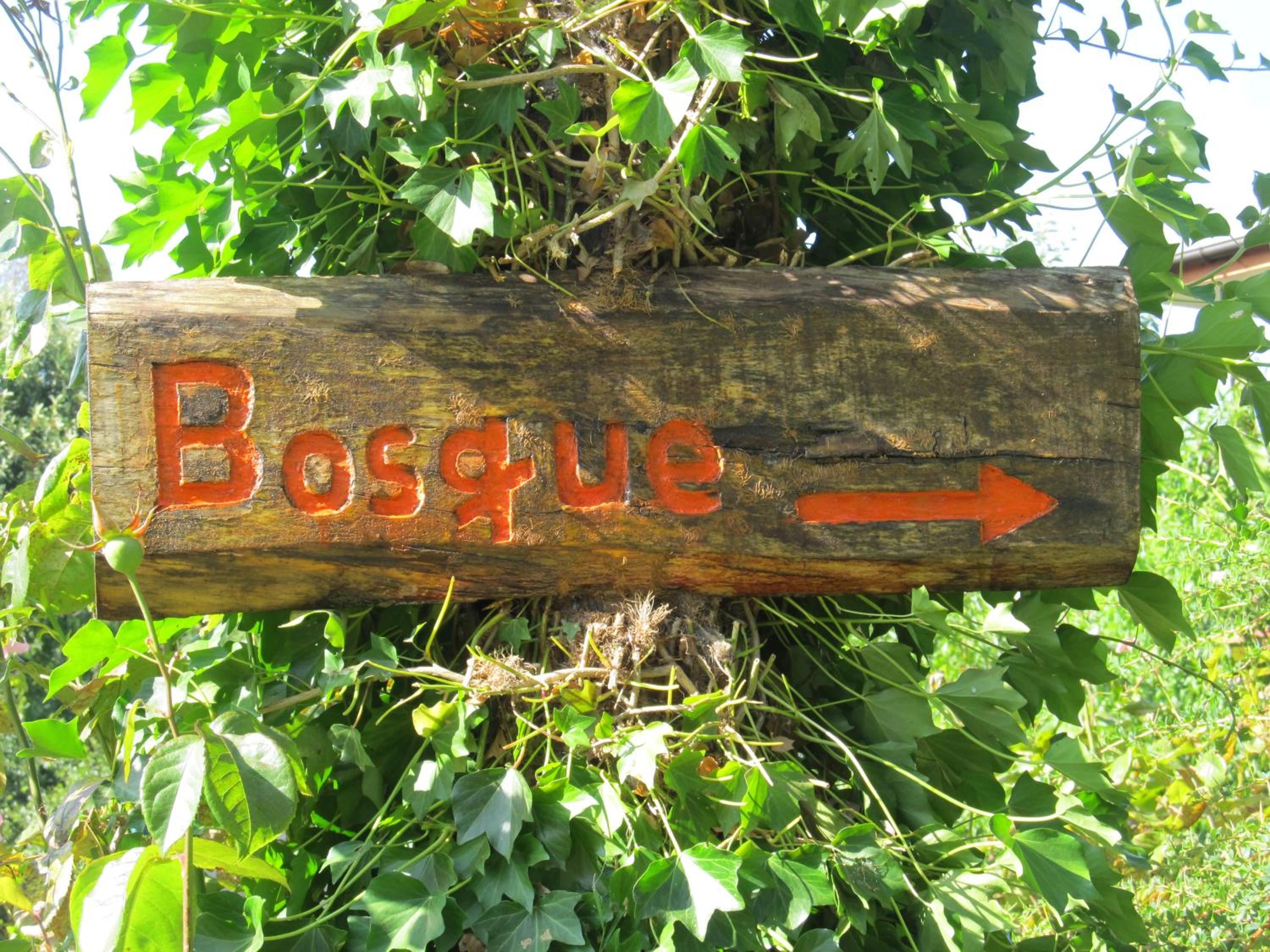 ECOHOSTAL HUELLAS DEL BOSQUE