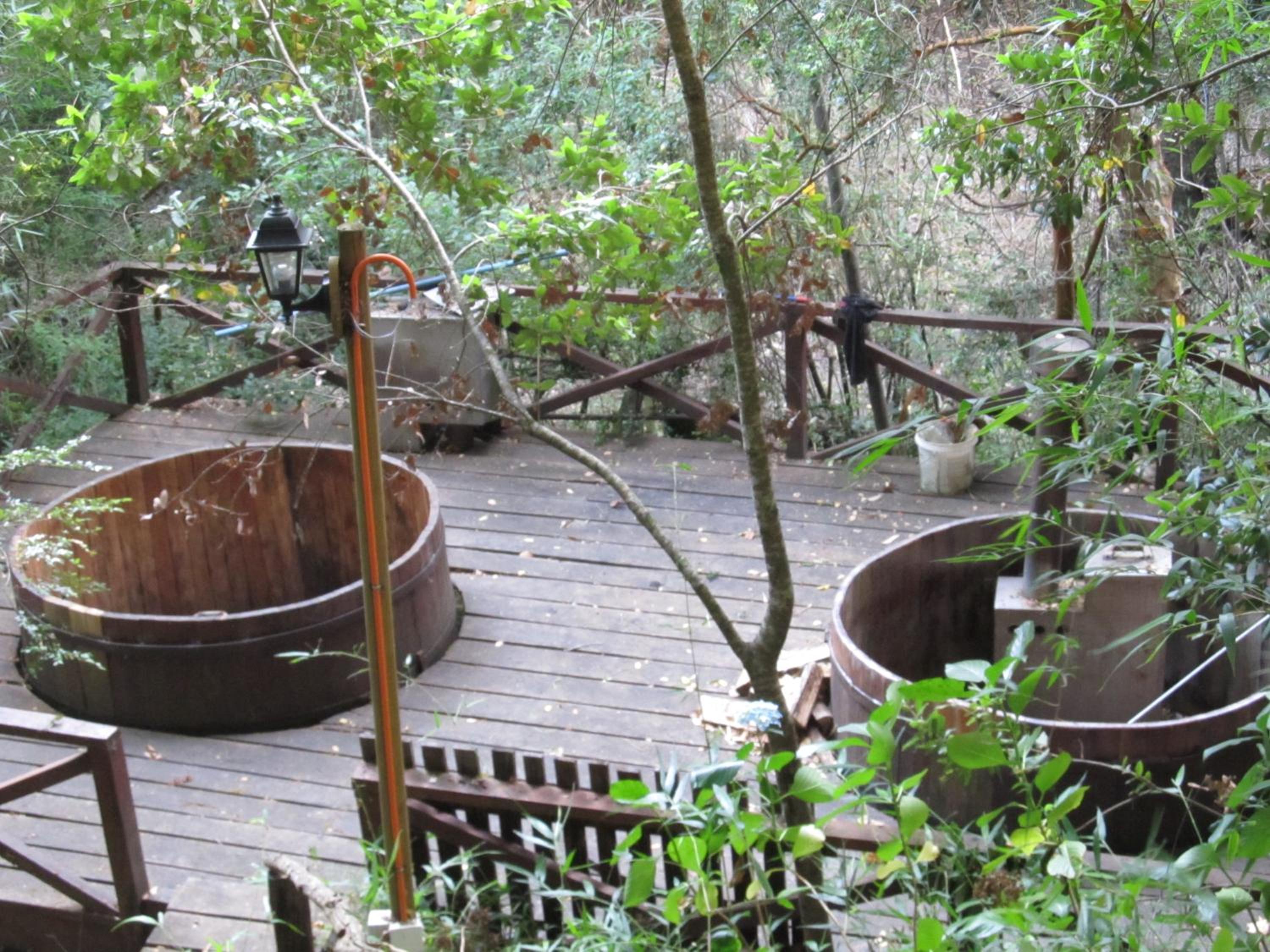ECOHOSTAL HUELLAS DEL BOSQUE