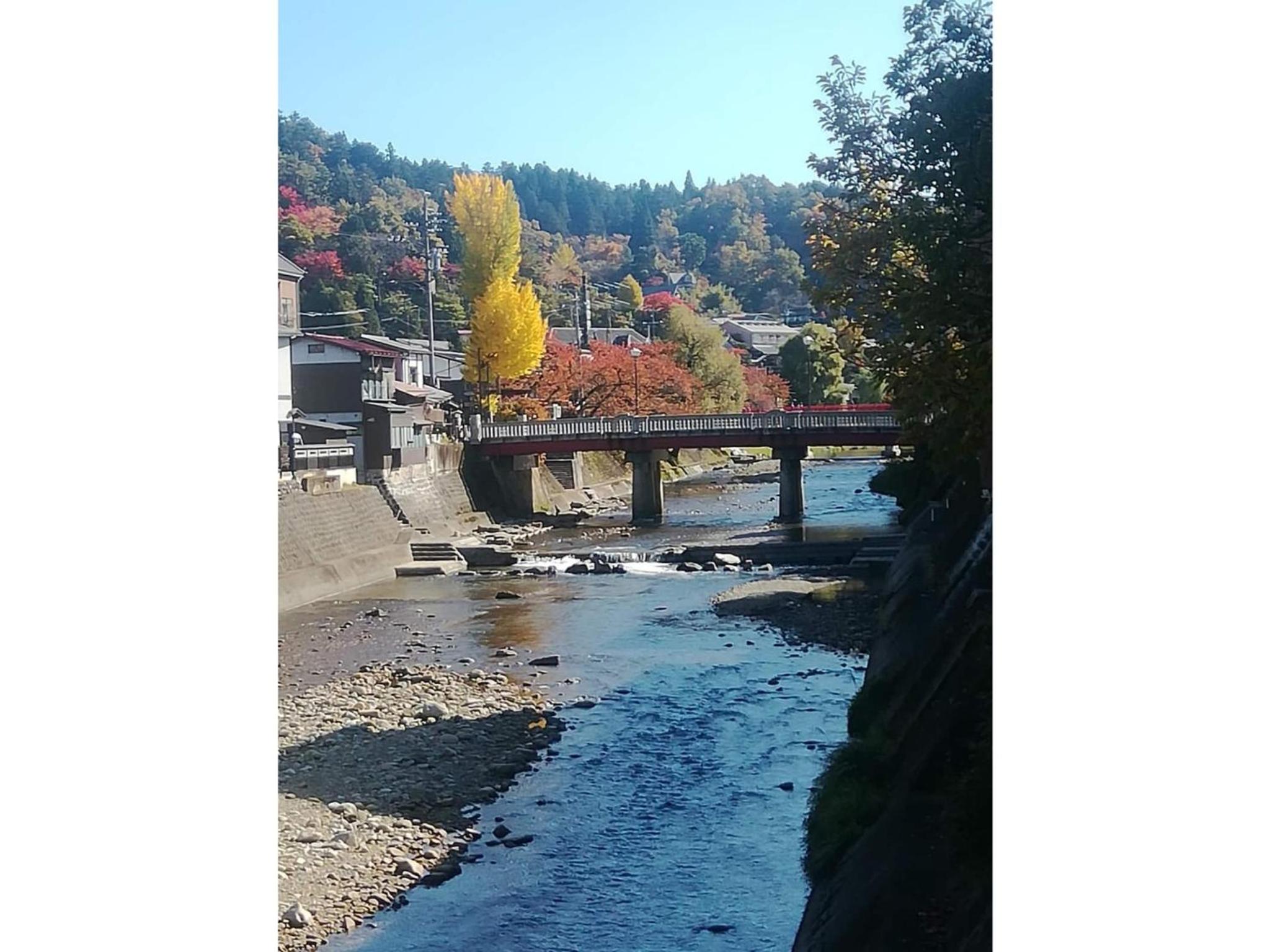 Photo 19