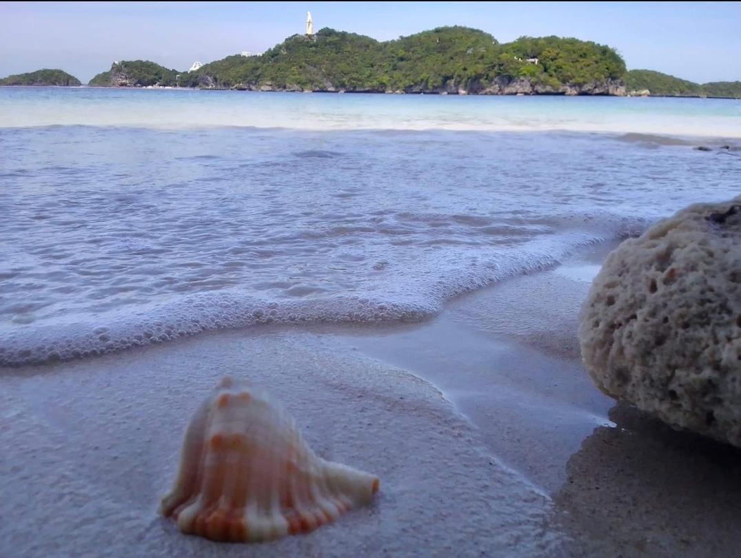 Carribean Transient House