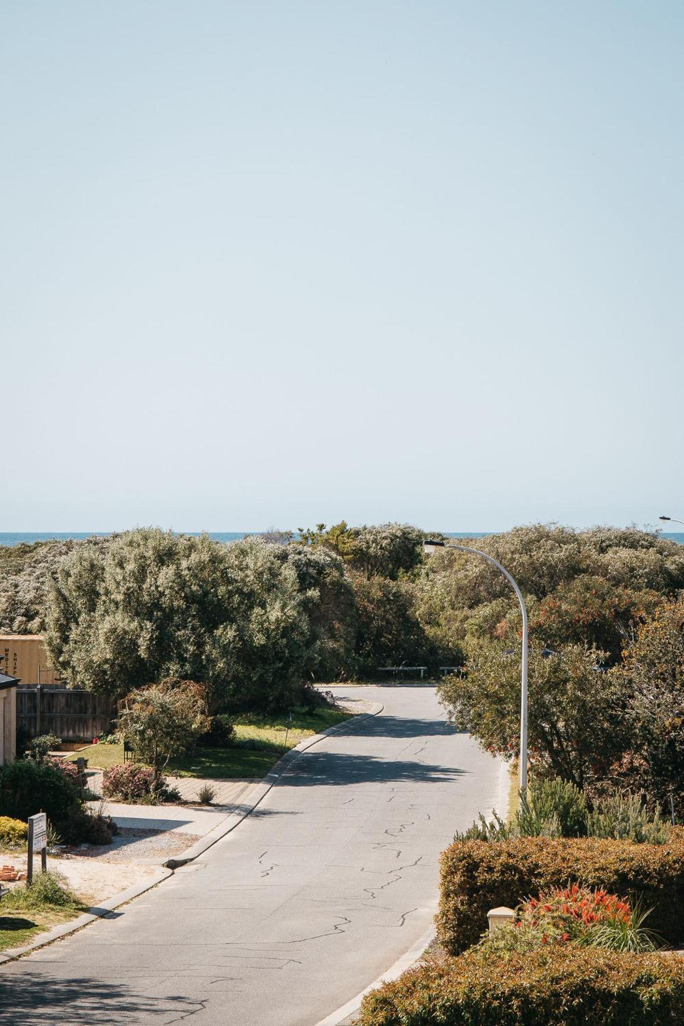 Banksia by the Bay