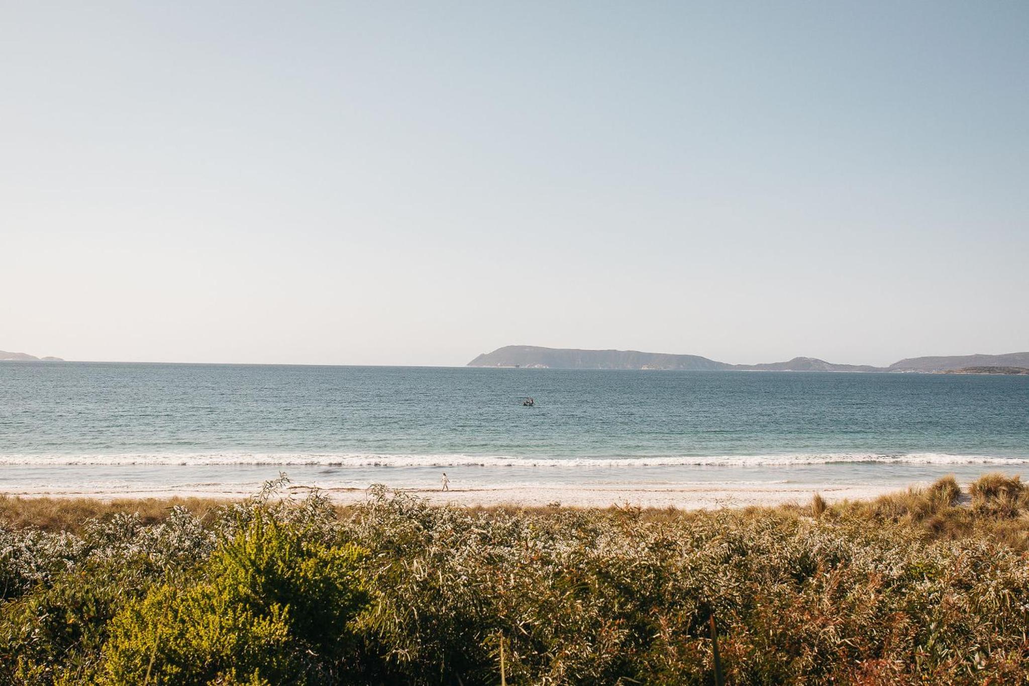 Banksia by the Bay