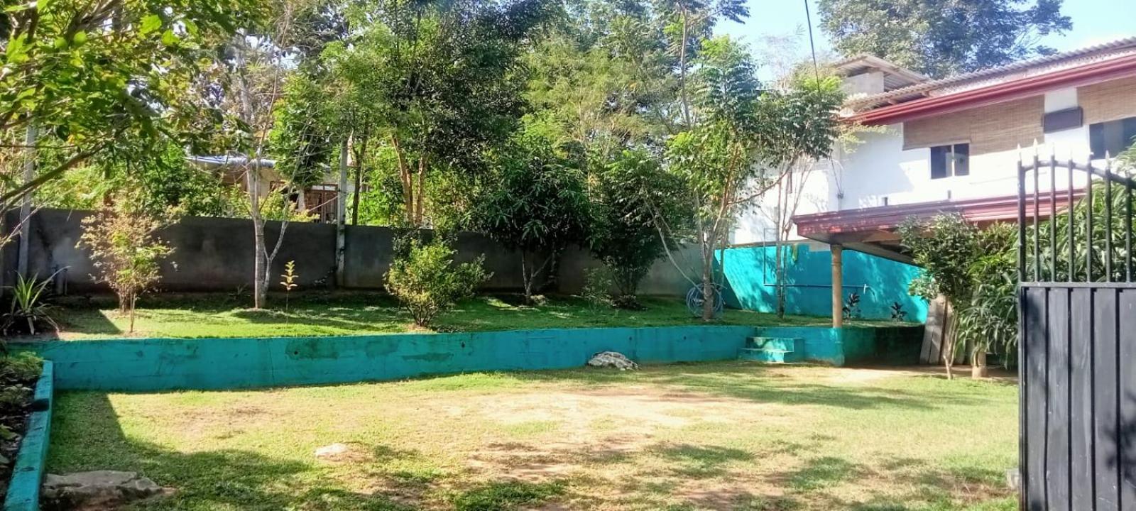 Photo 46