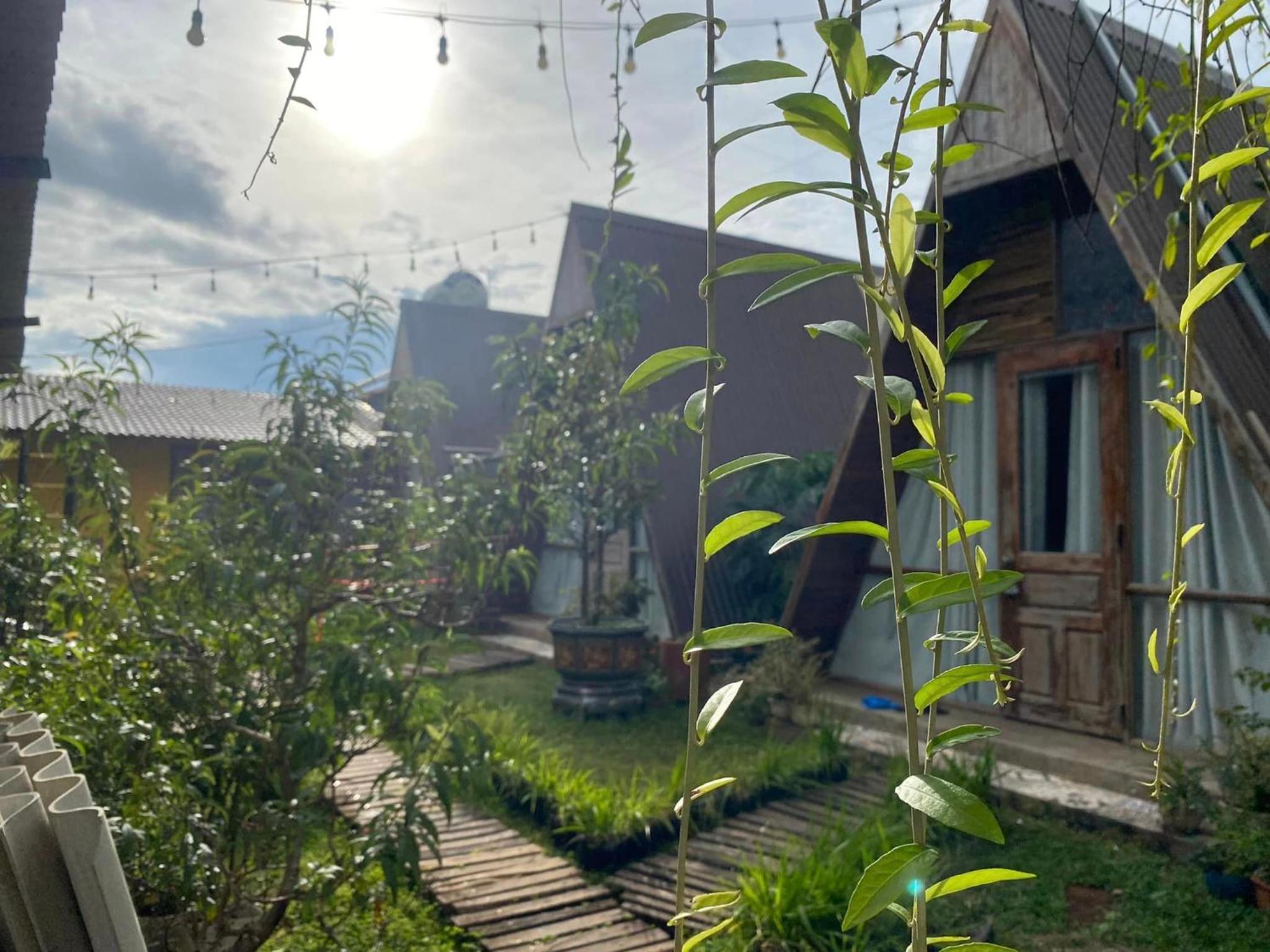 Nhà của Nếp, Plei Brel (2) - 15