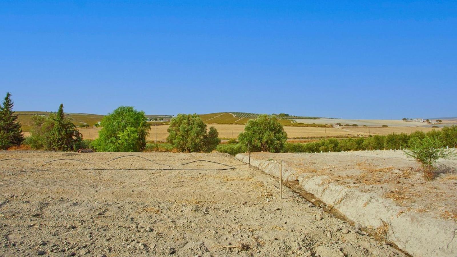 Casa Rural Viña Romanito Jerez de la Frontera by Ruralidays
