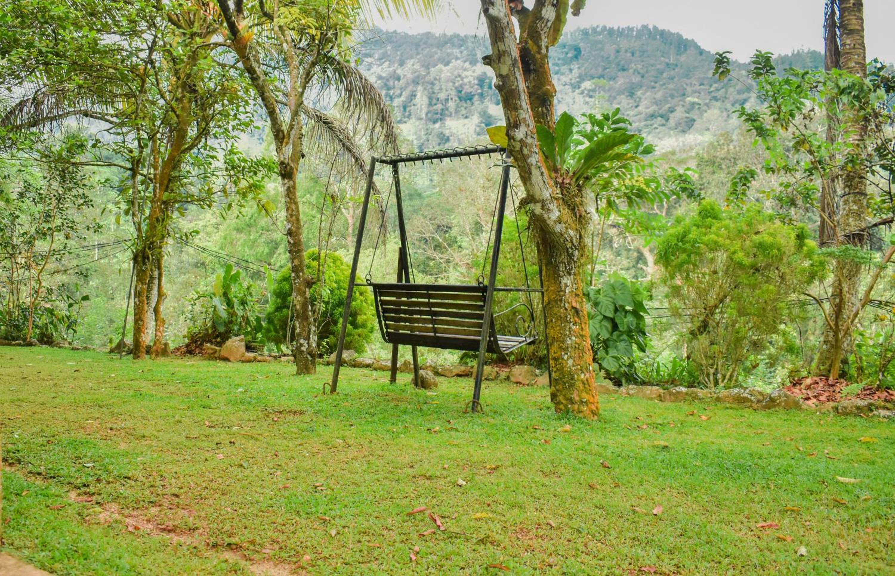 Blue Magpie Lodge Sinharaja