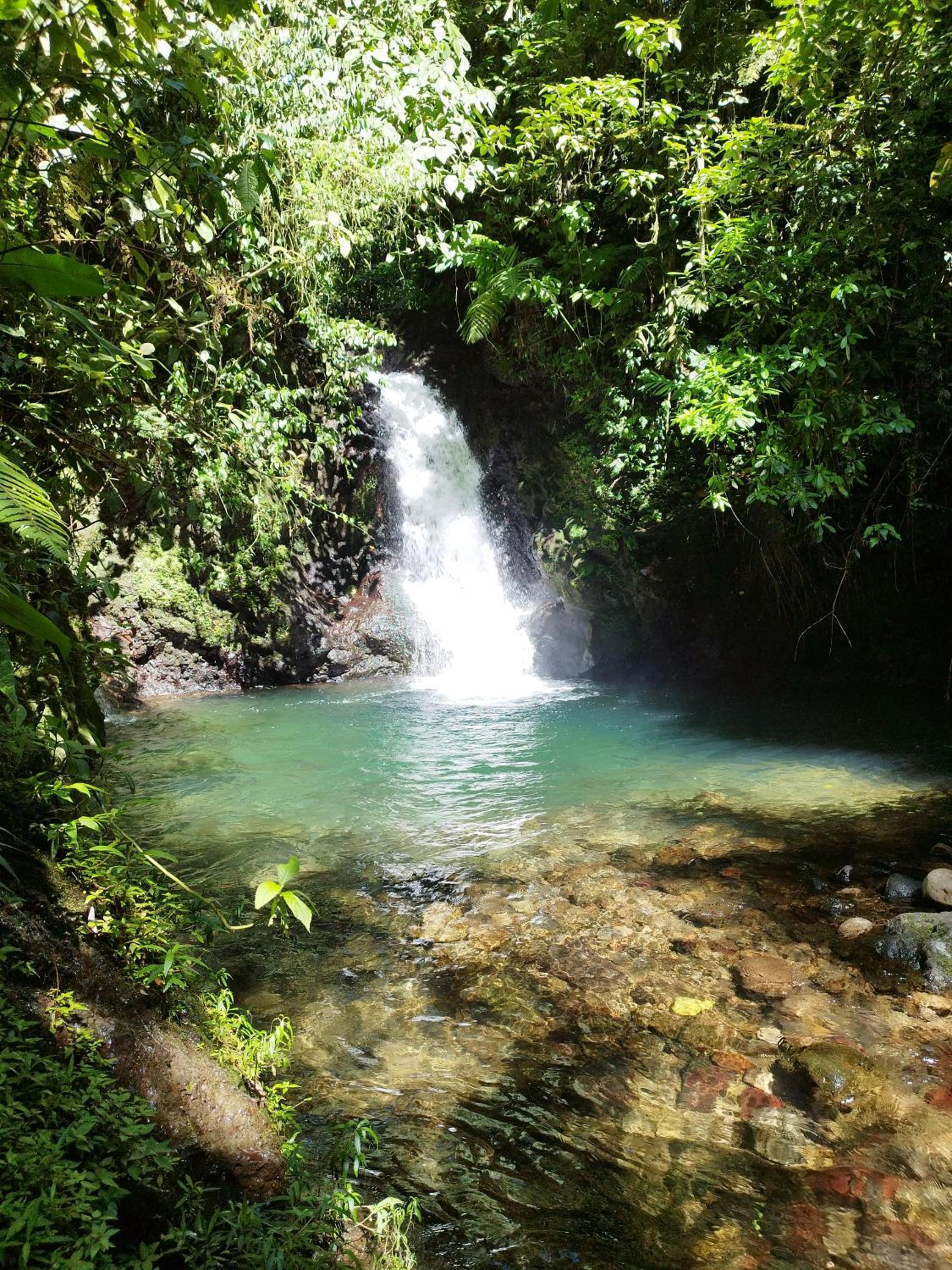 Photo 16