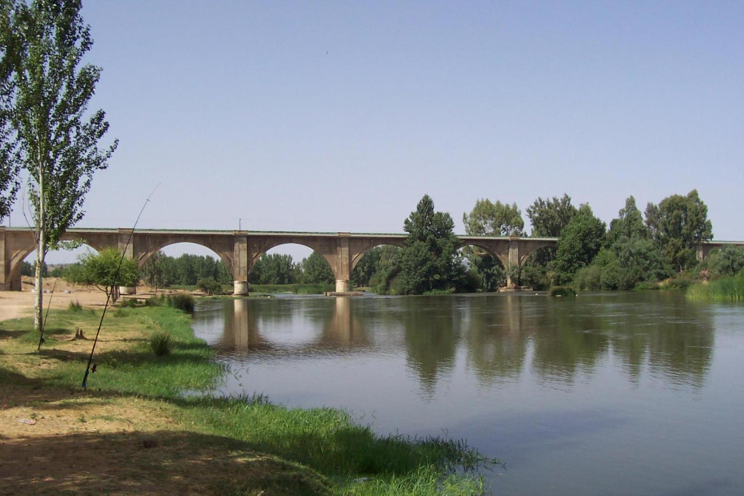 Photo 48