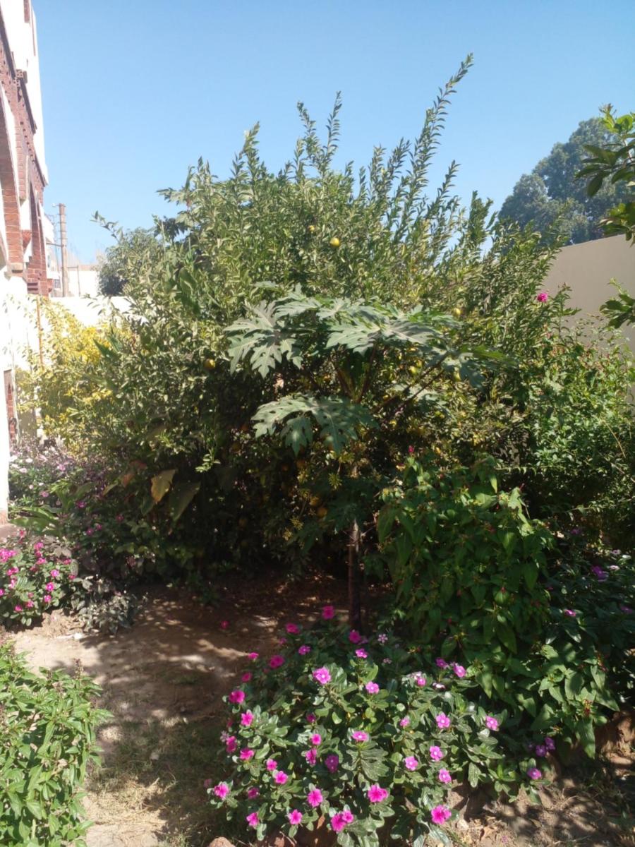 Photo 43