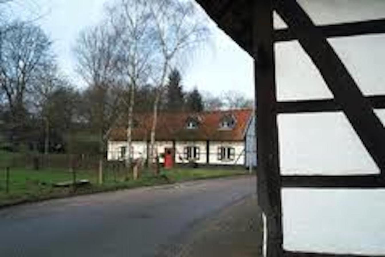 Photo 42