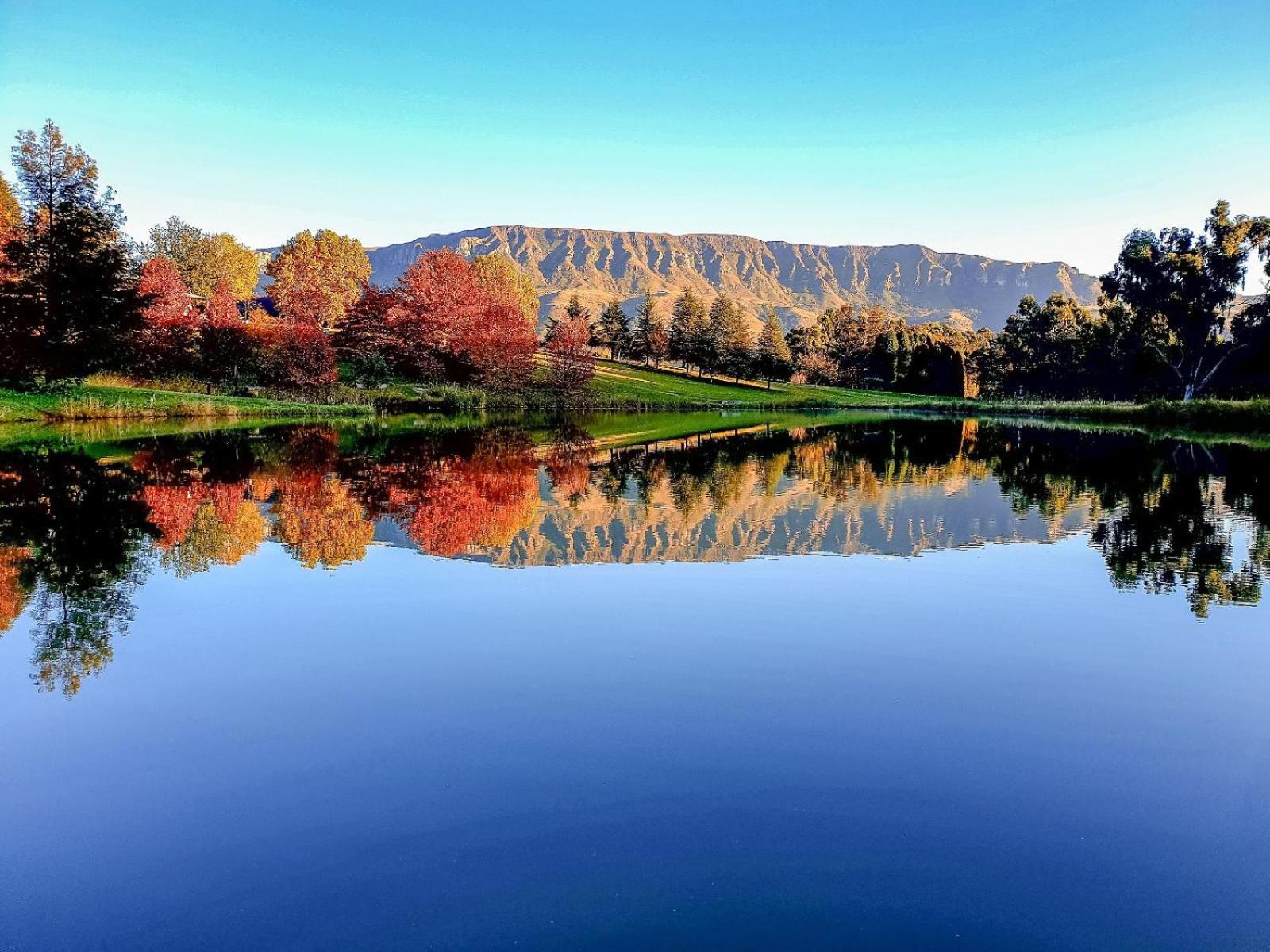Silver Hill Lodge