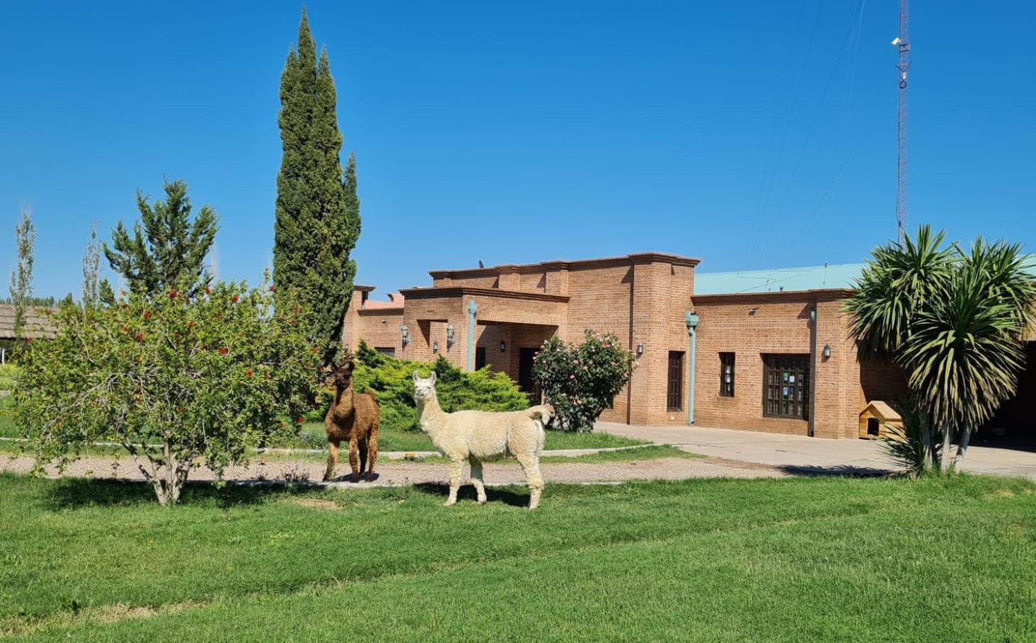 Finca La Carmelita