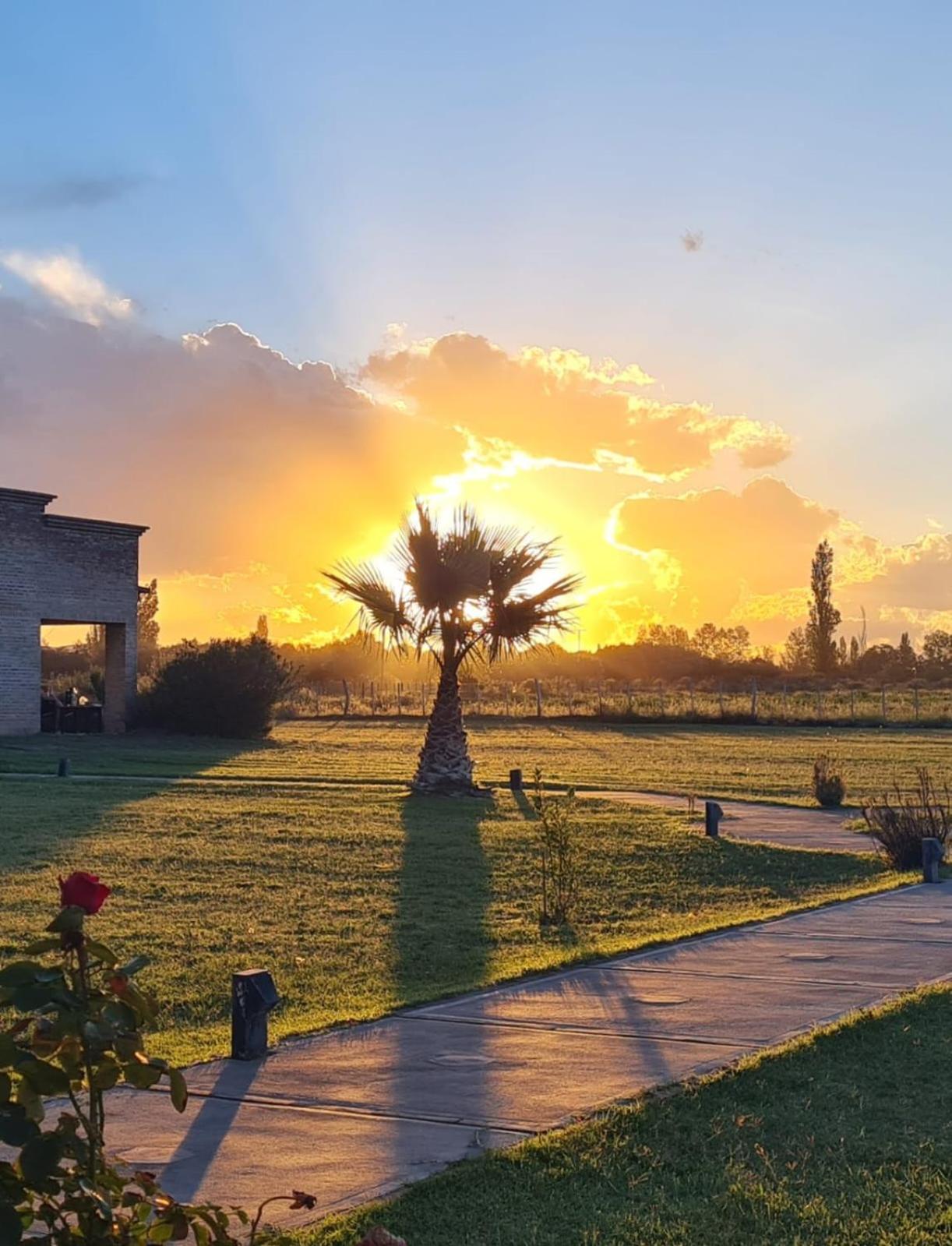 Finca La Carmelita