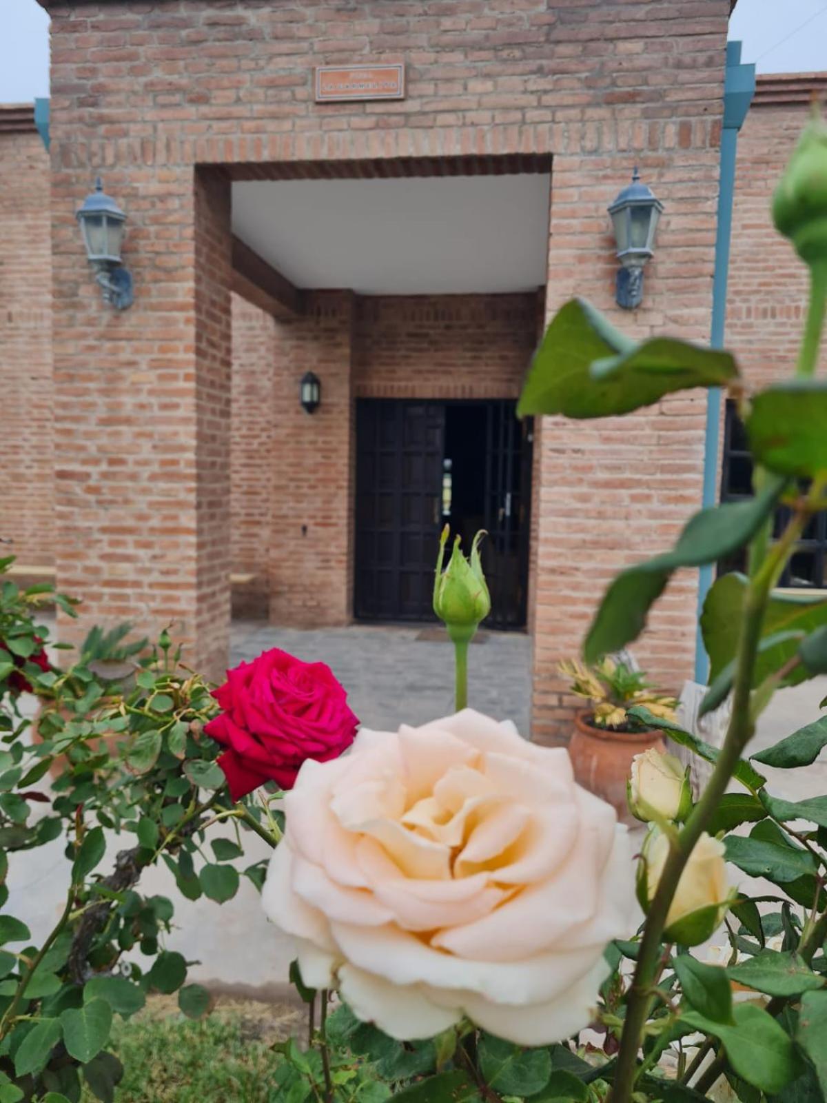 Finca La Carmelita
