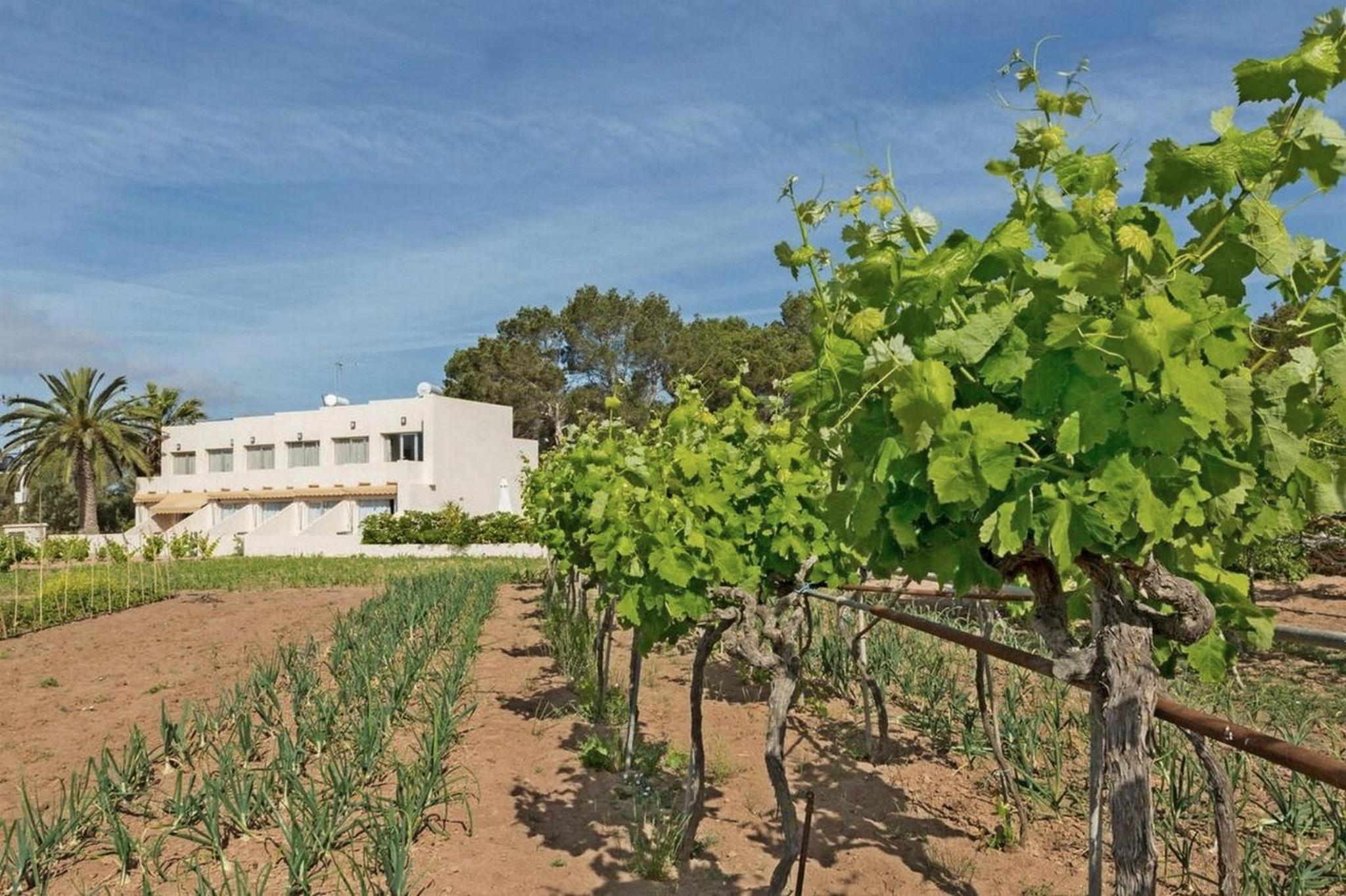 Apartamentos Marcelino - Formentera Break