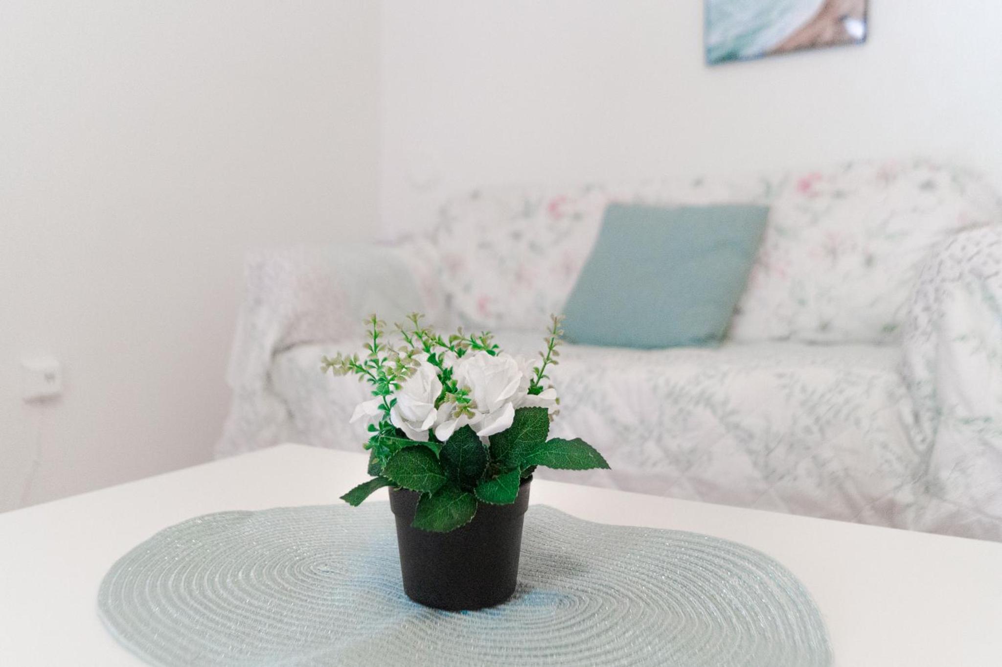 Stunning 2BR Neighboring apts.Perfect for 8 guests