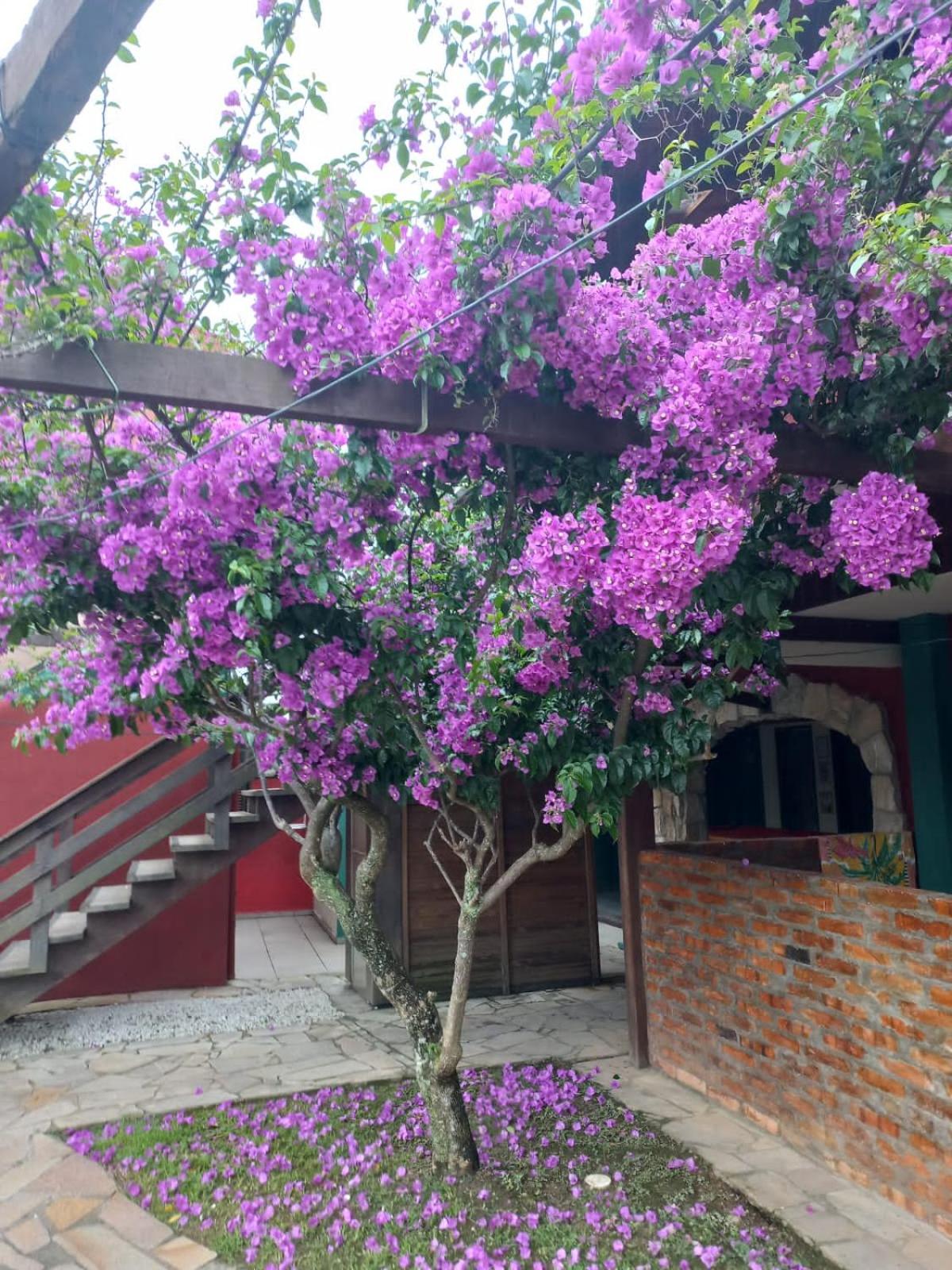 Pousada Vila D' Itália