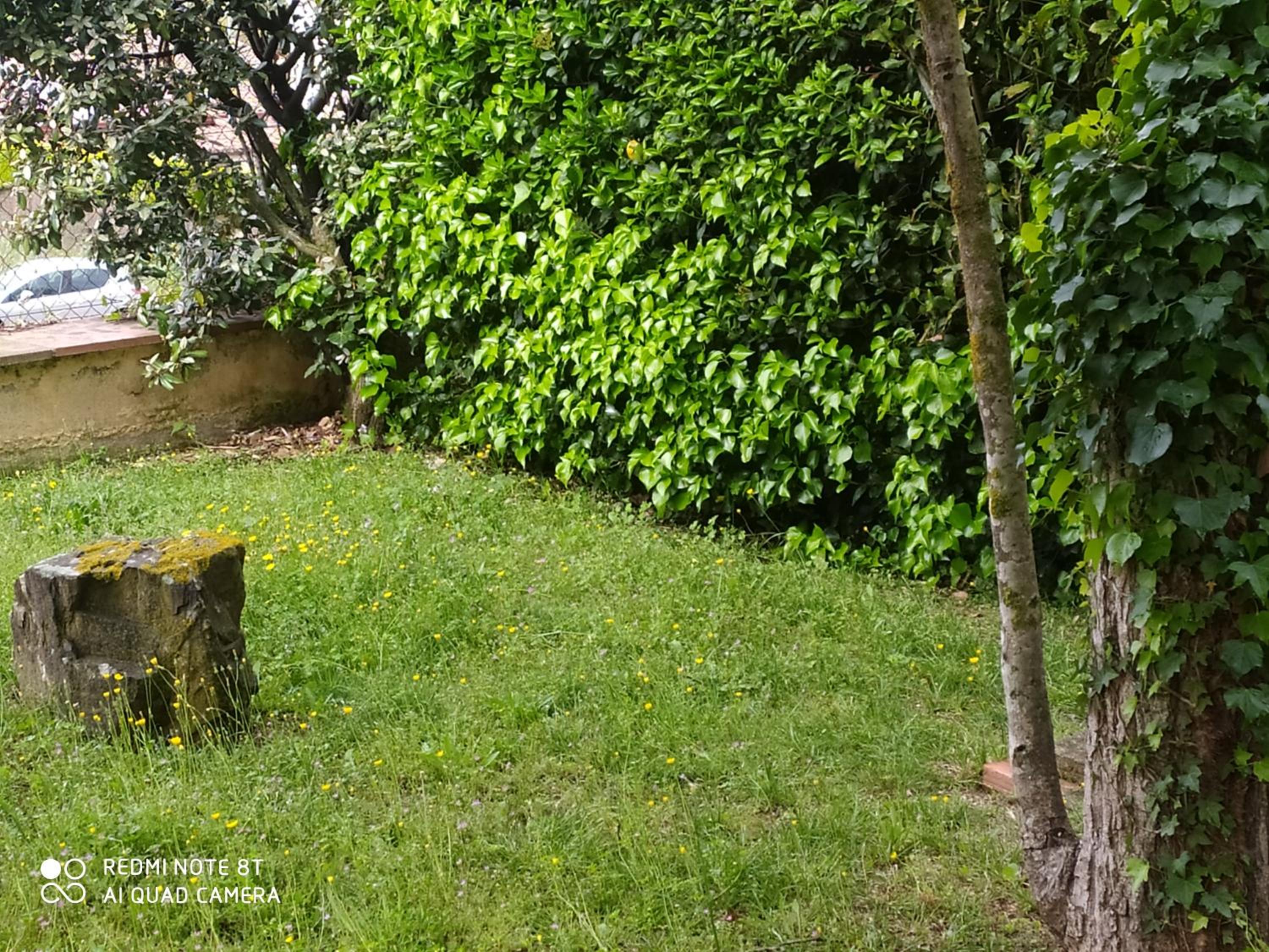 Chalet Entre Parques Naturales