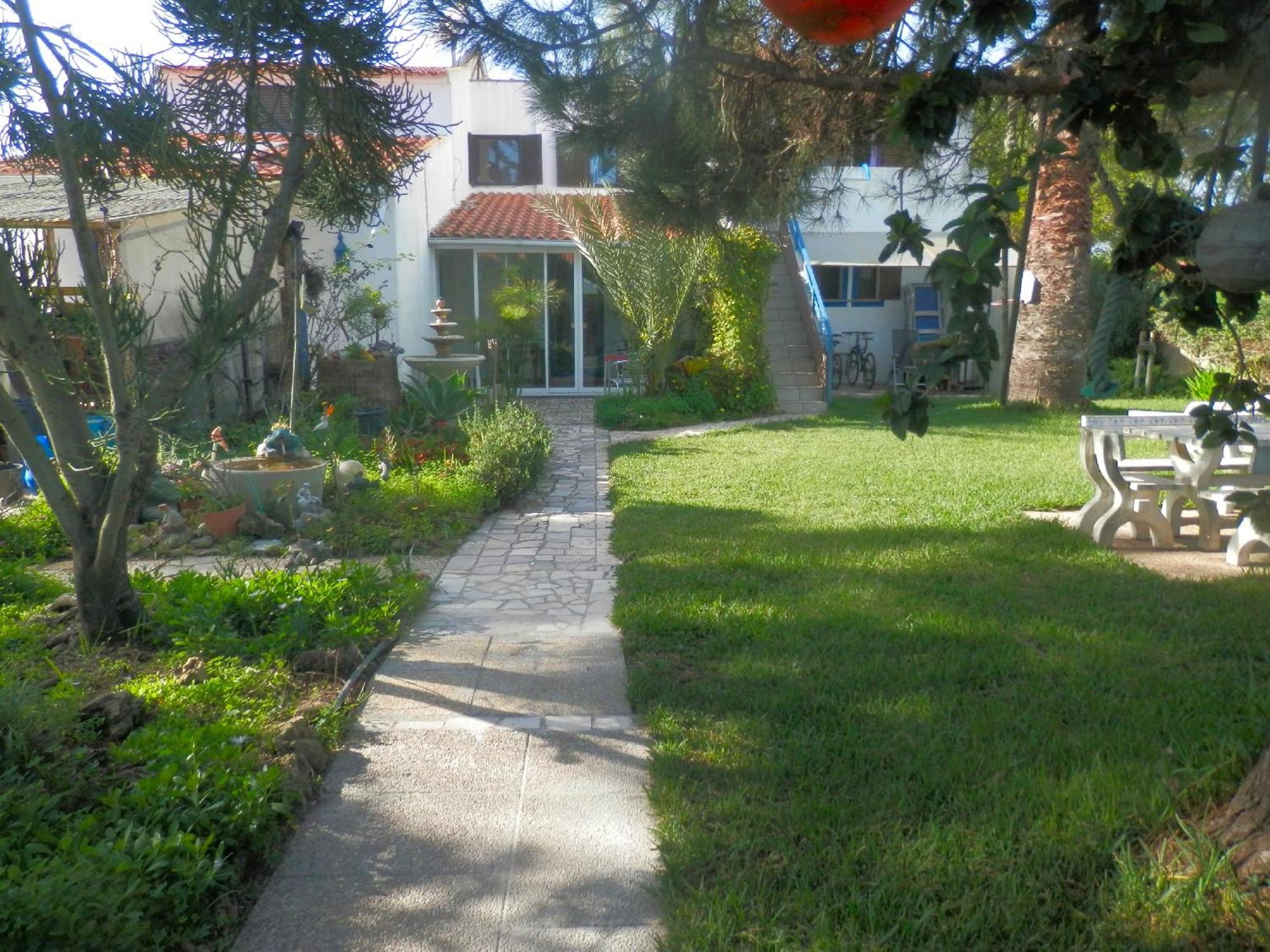 Photo 43