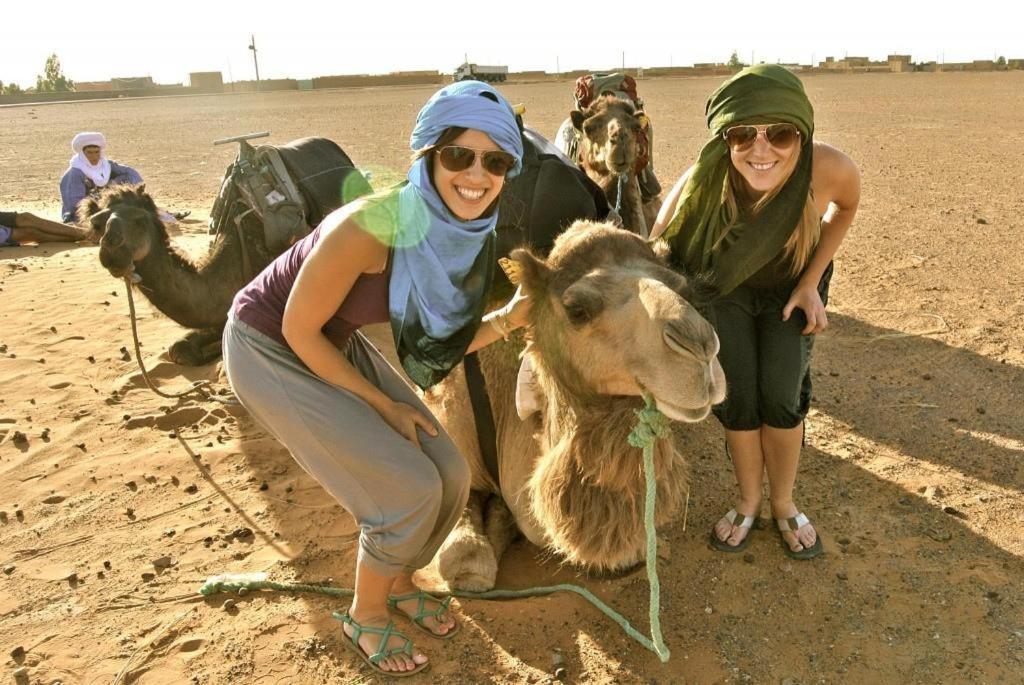 Camp Sahara Majestic
