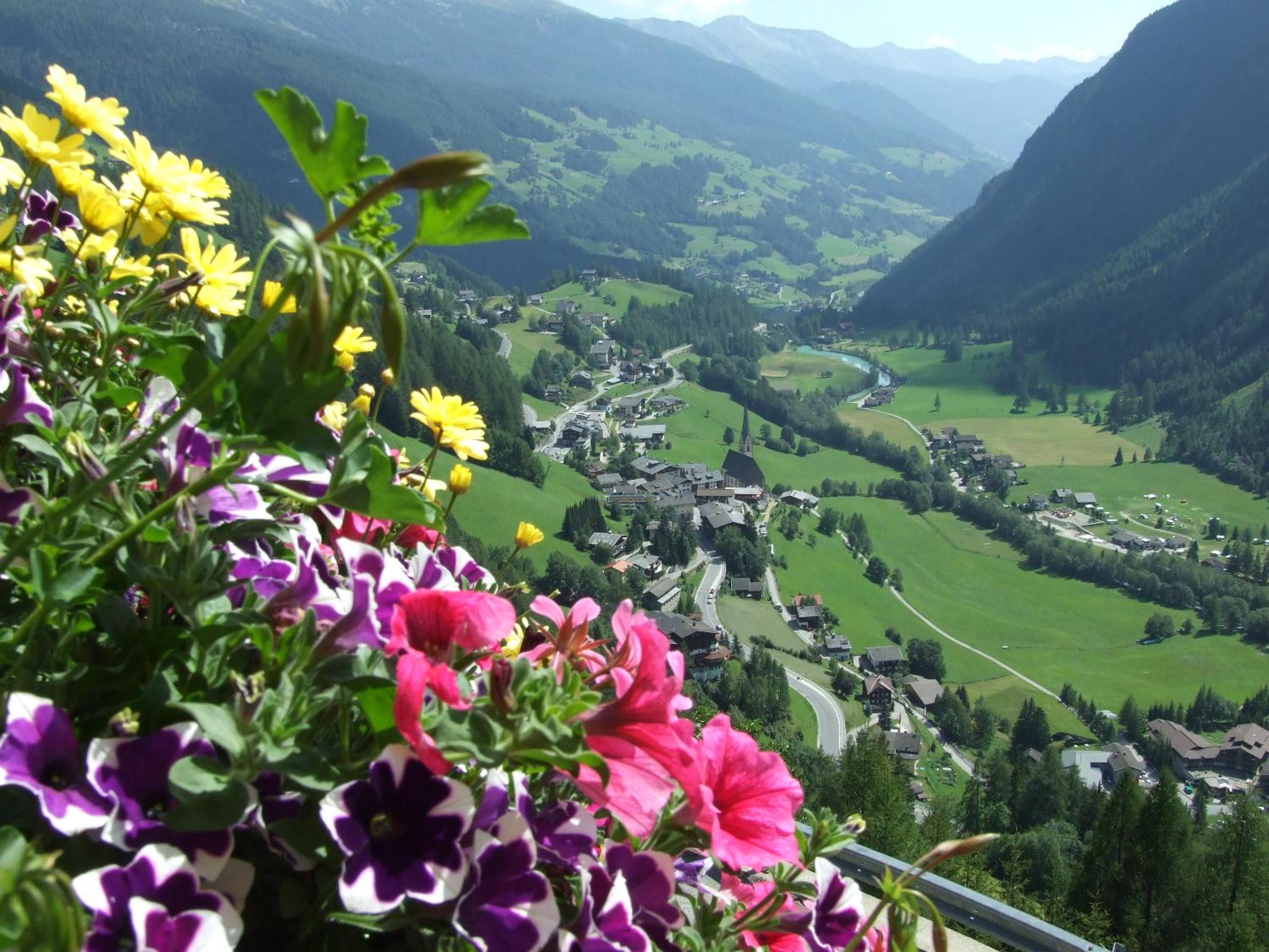 Ferienwohnung Hohe Wand