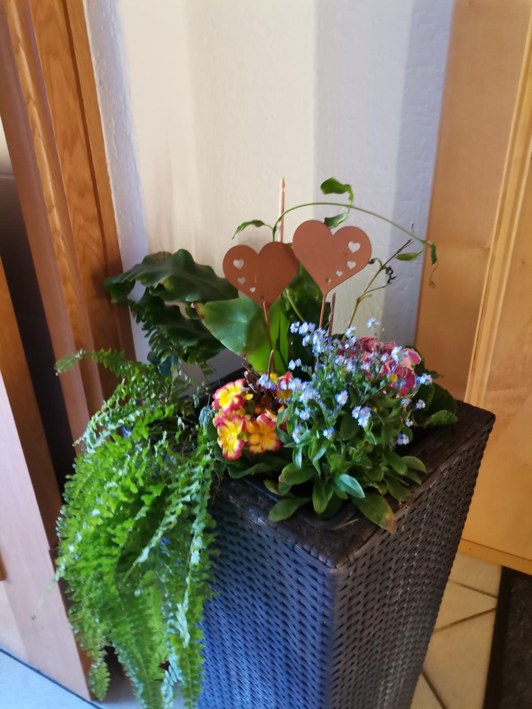 Ferienwohnung Hohe Wand