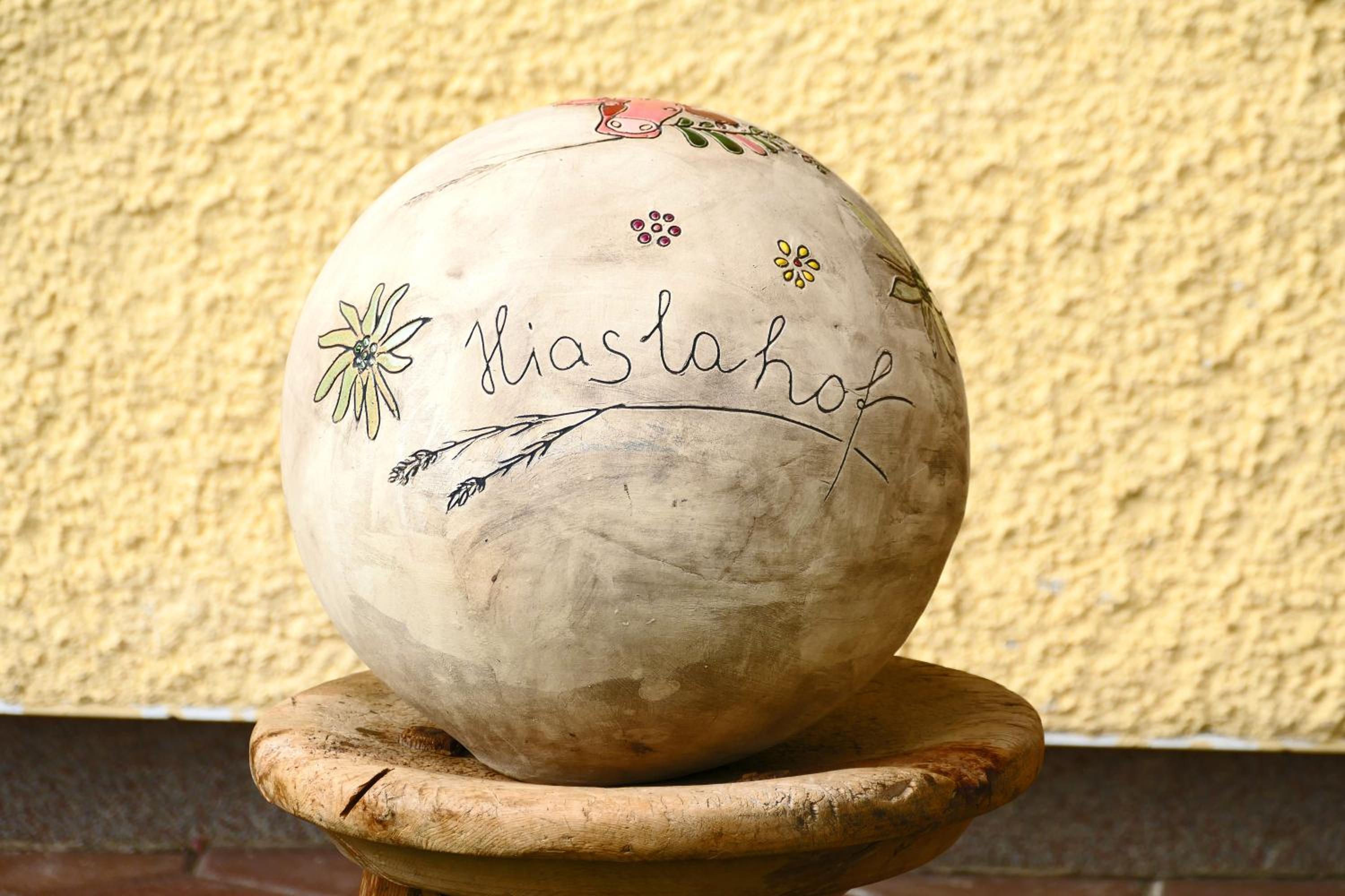 Hiaslahof view 3