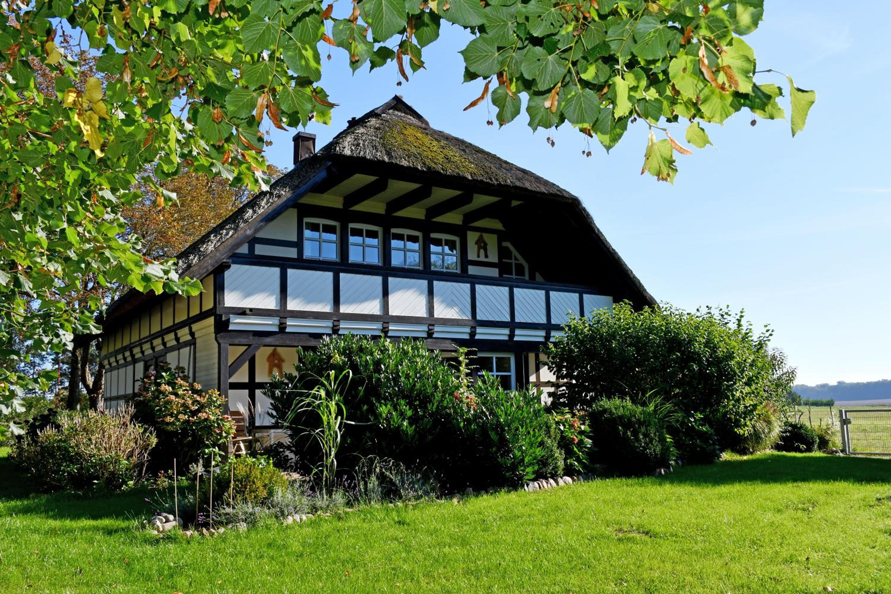 Reetdachfachwerkvilla am Wiesengrund