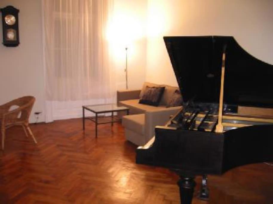 AIRAM Apartment CENTER BUDAPEST 120m2 view 4