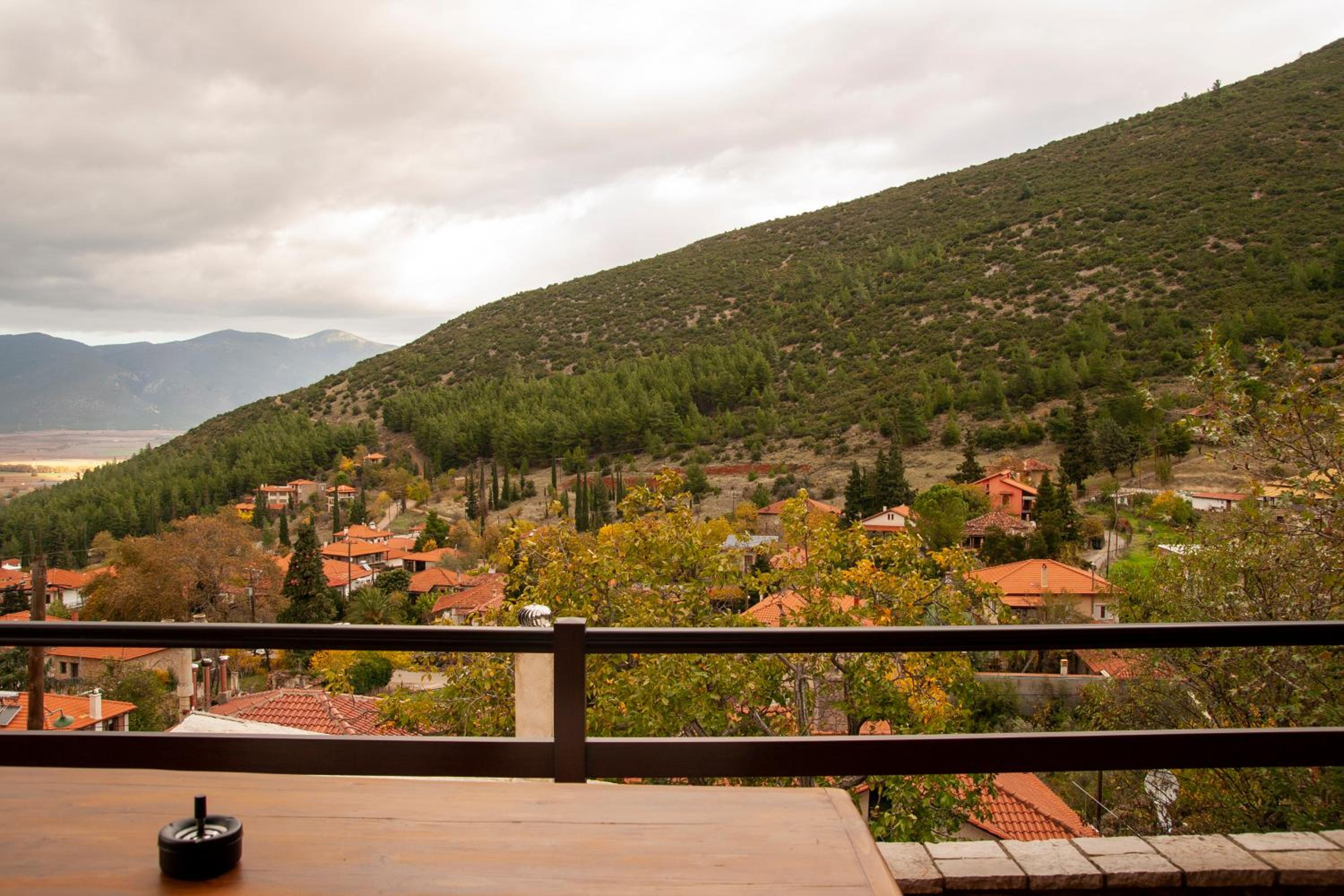 PS House Polydrosos - PS Rental view 2