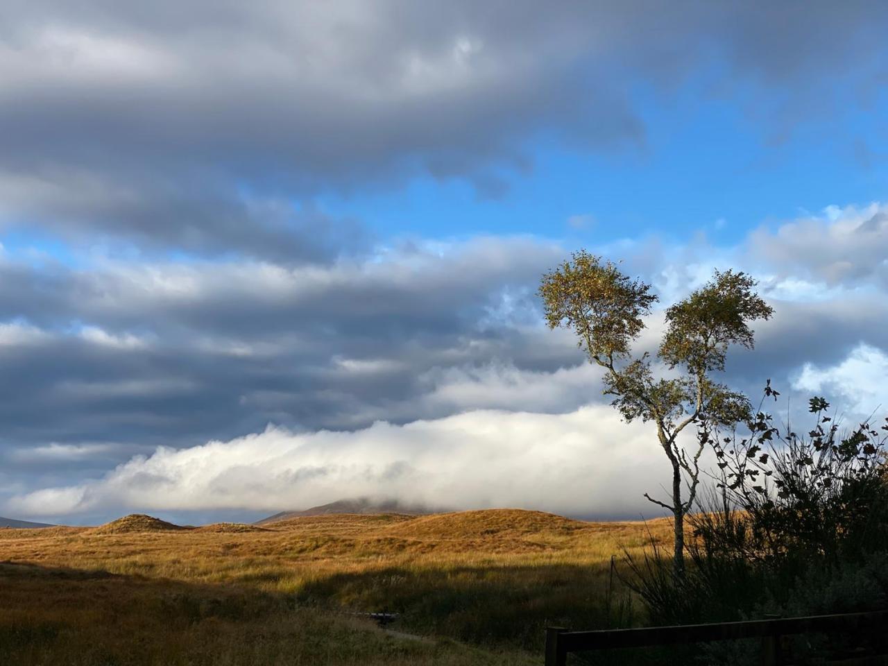 Forsinard Lodge