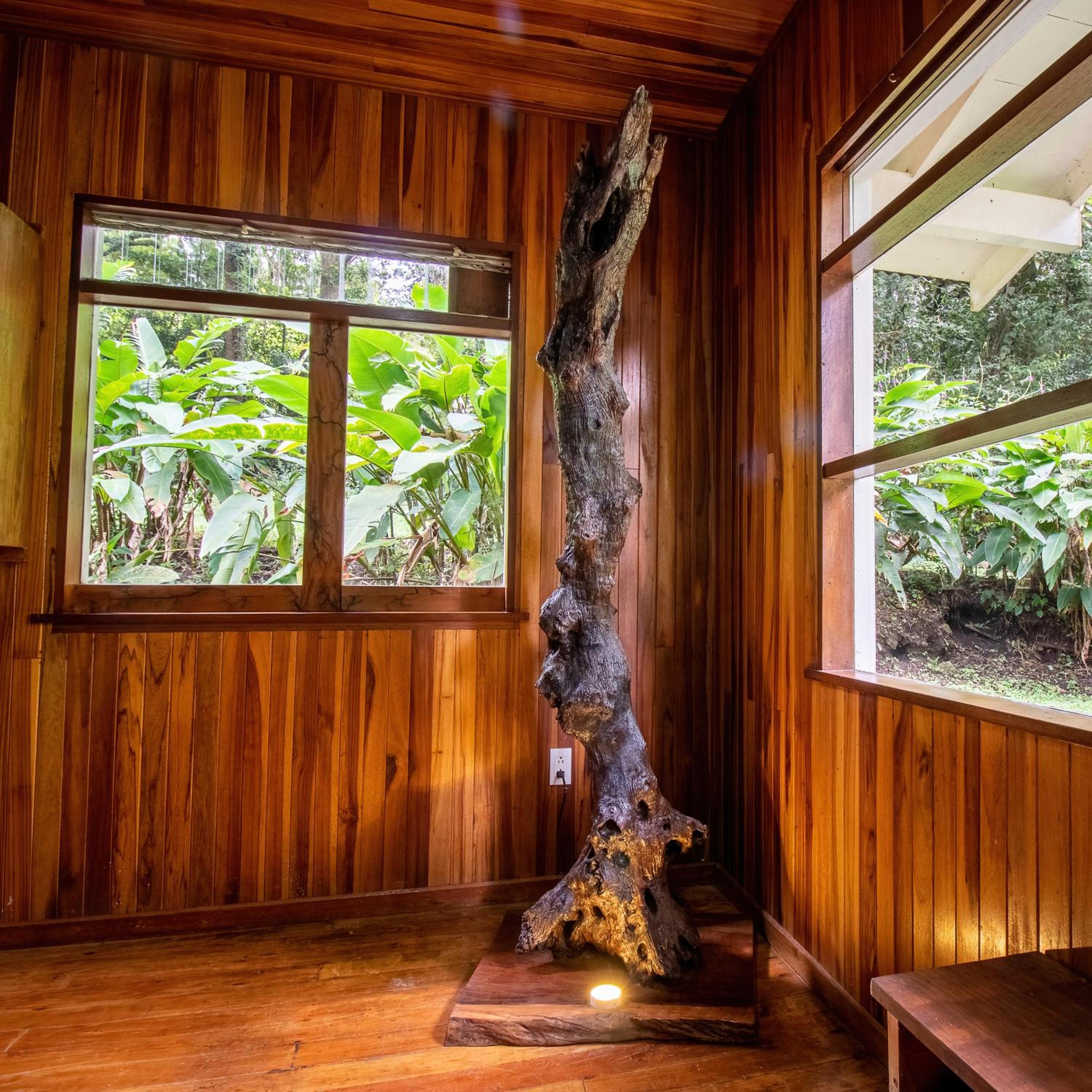 Forest Garden House
