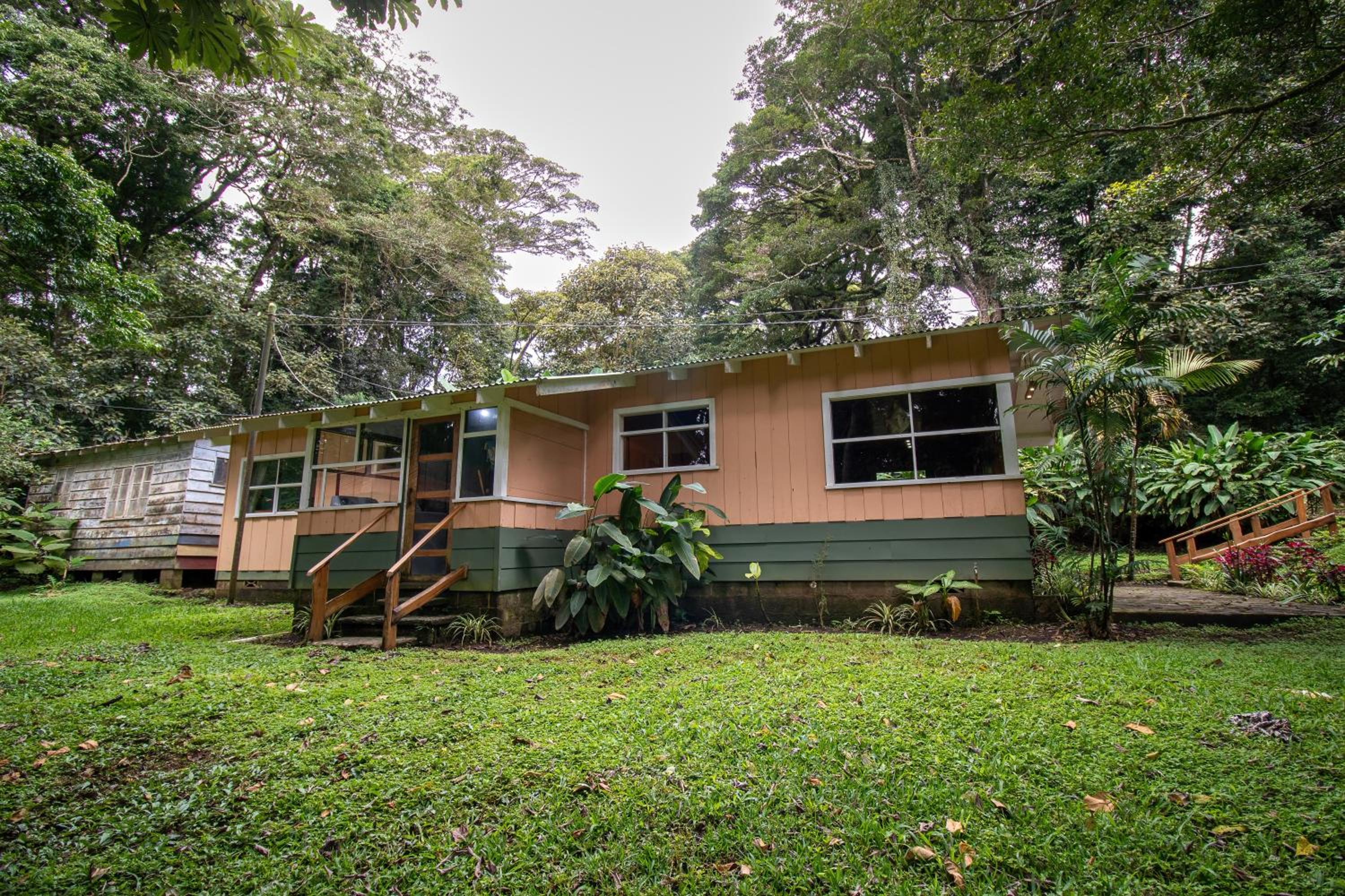 Forest Garden House