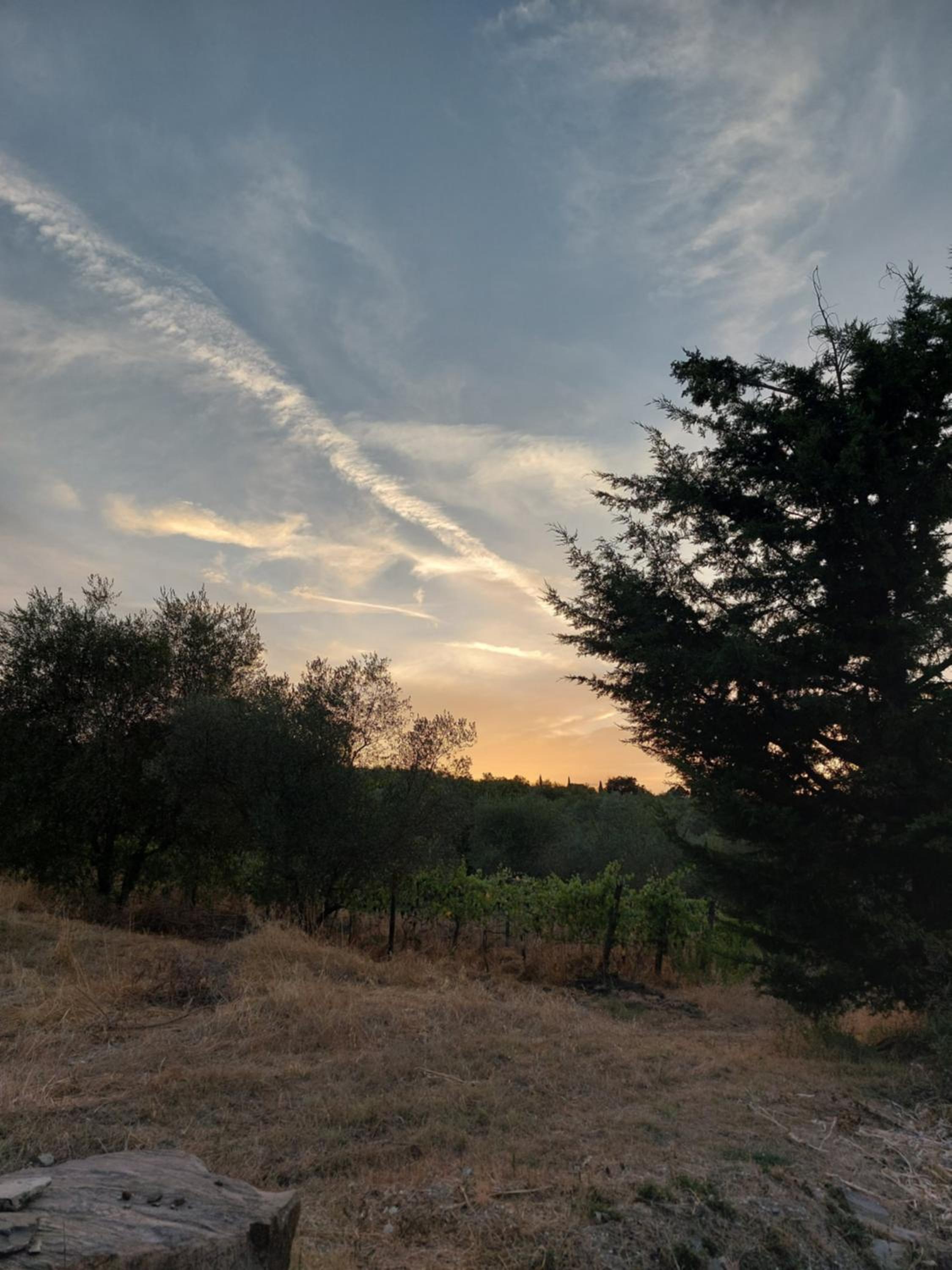 Fattoria Il Milione Agriturismo