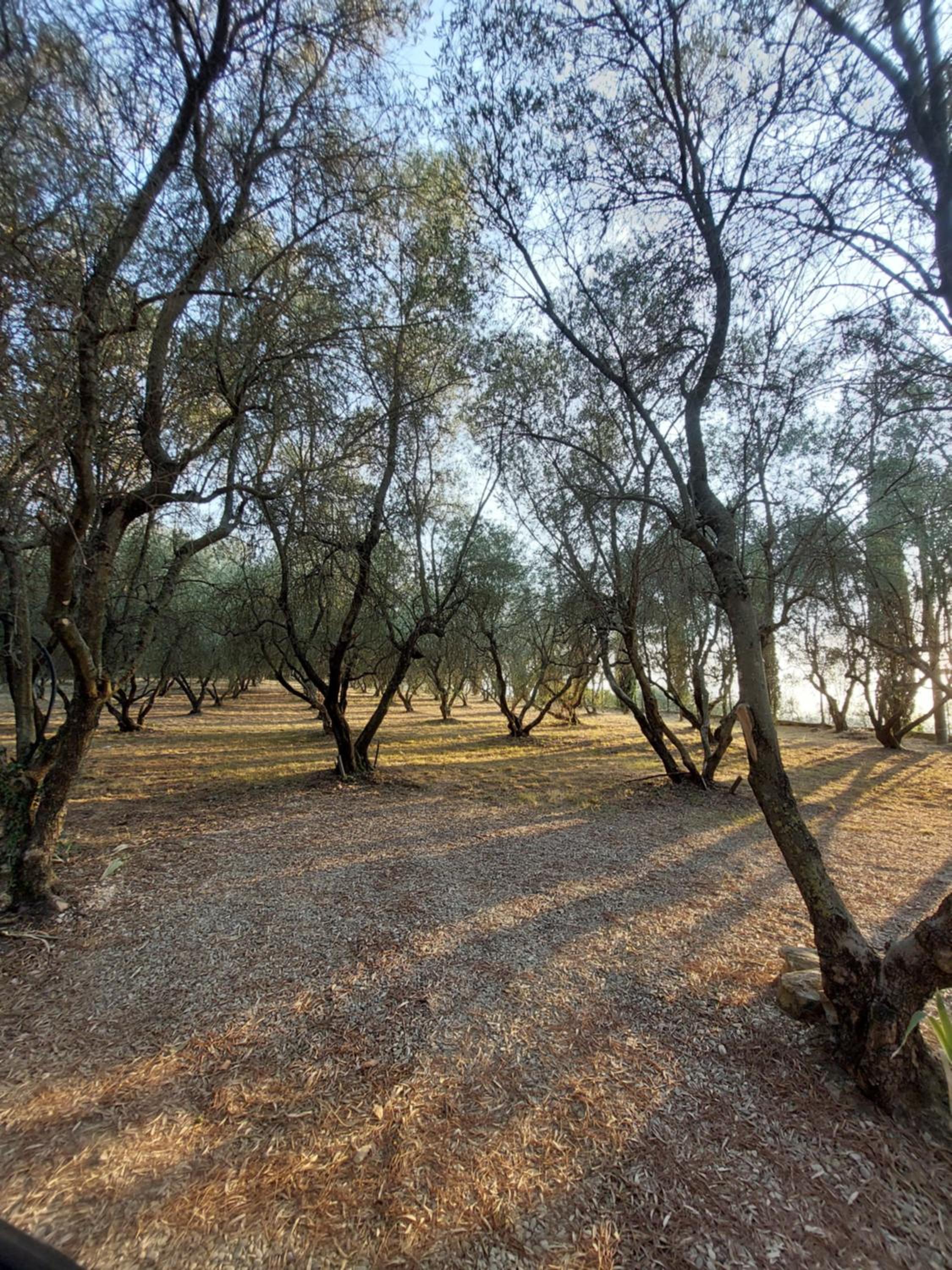 Fattoria Il Milione Agriturismo