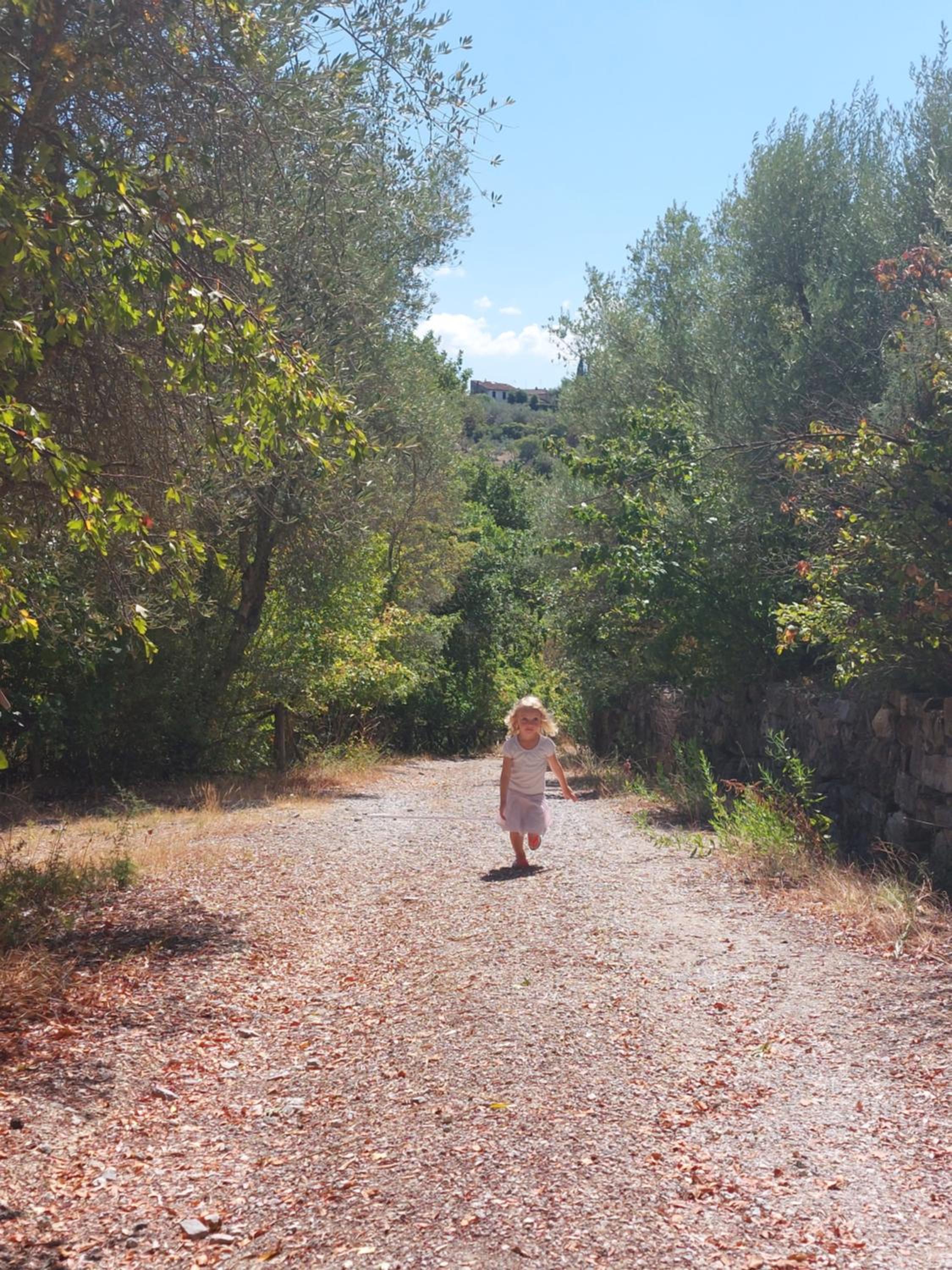 Fattoria Il Milione Agriturismo