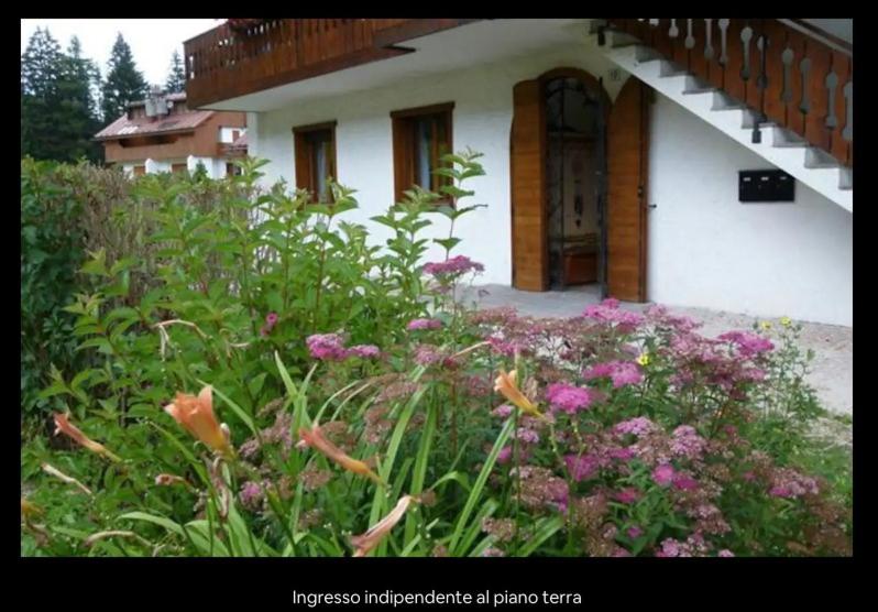 Villanova, Borca di Cadore by Short Holidays view 3