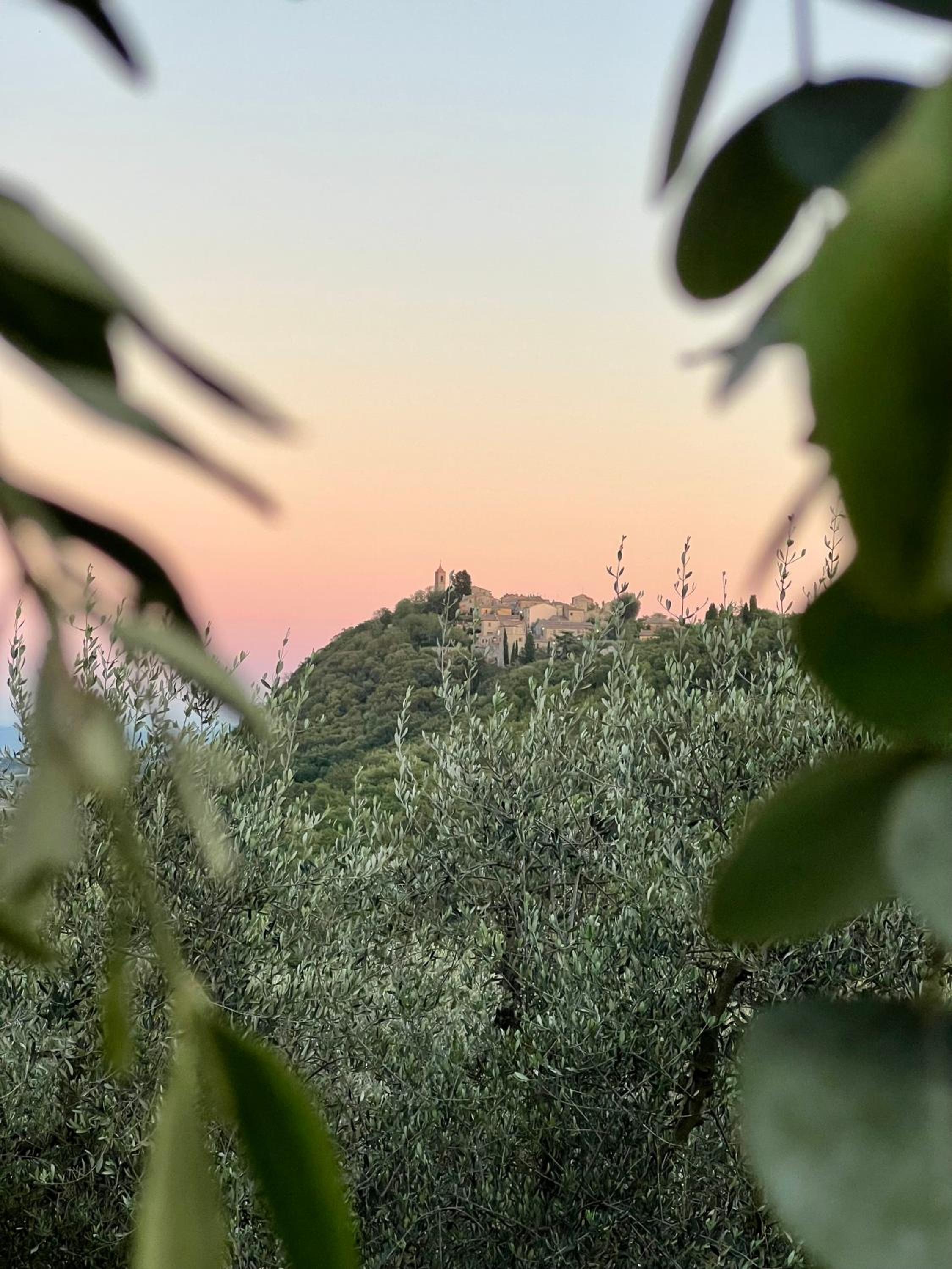 Agriturismo Belagaggio