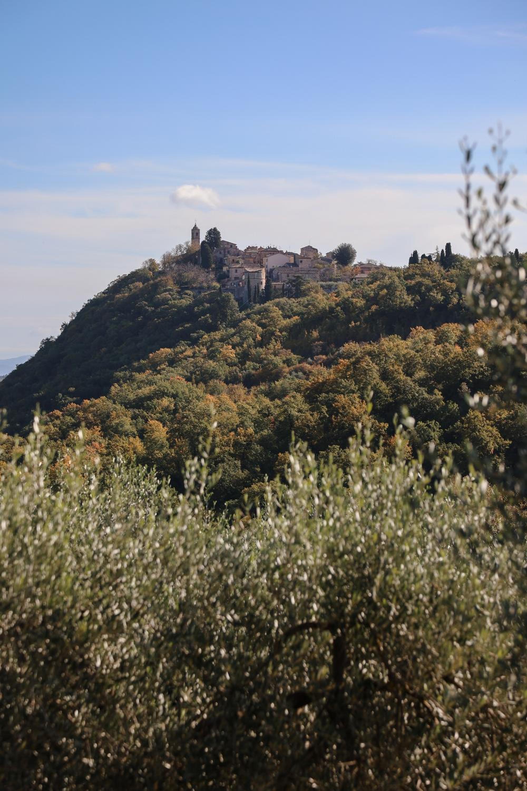 Agriturismo Belagaggio