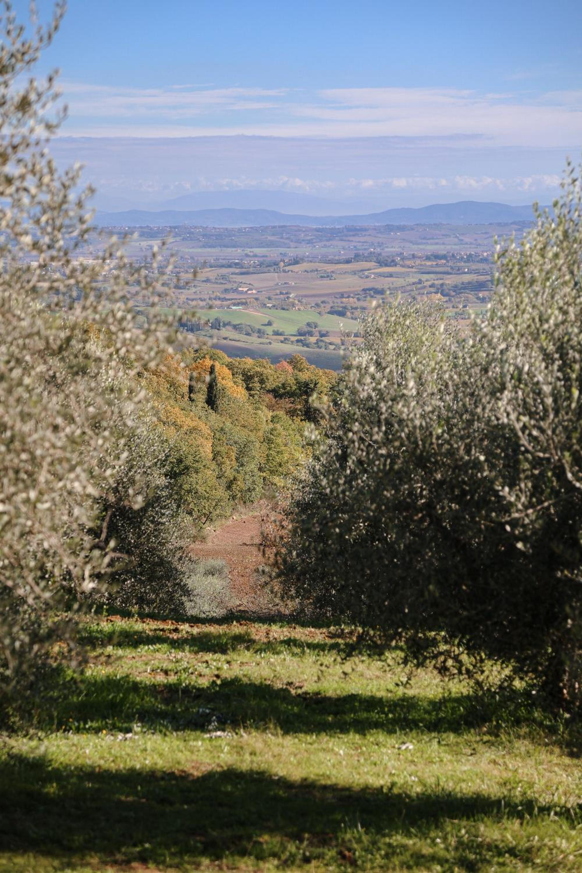 Agriturismo Belagaggio